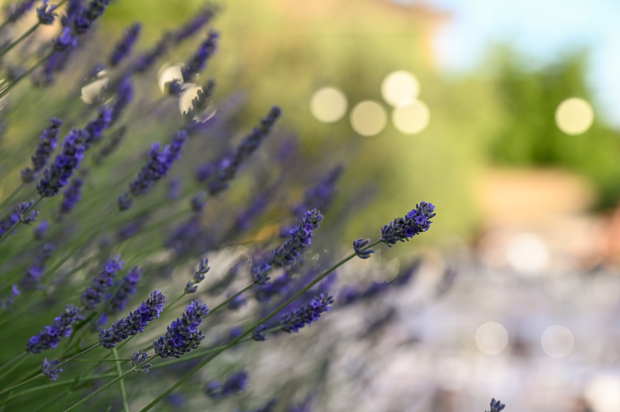 Compleanno 18 anni. Lo specchio del tempo photography