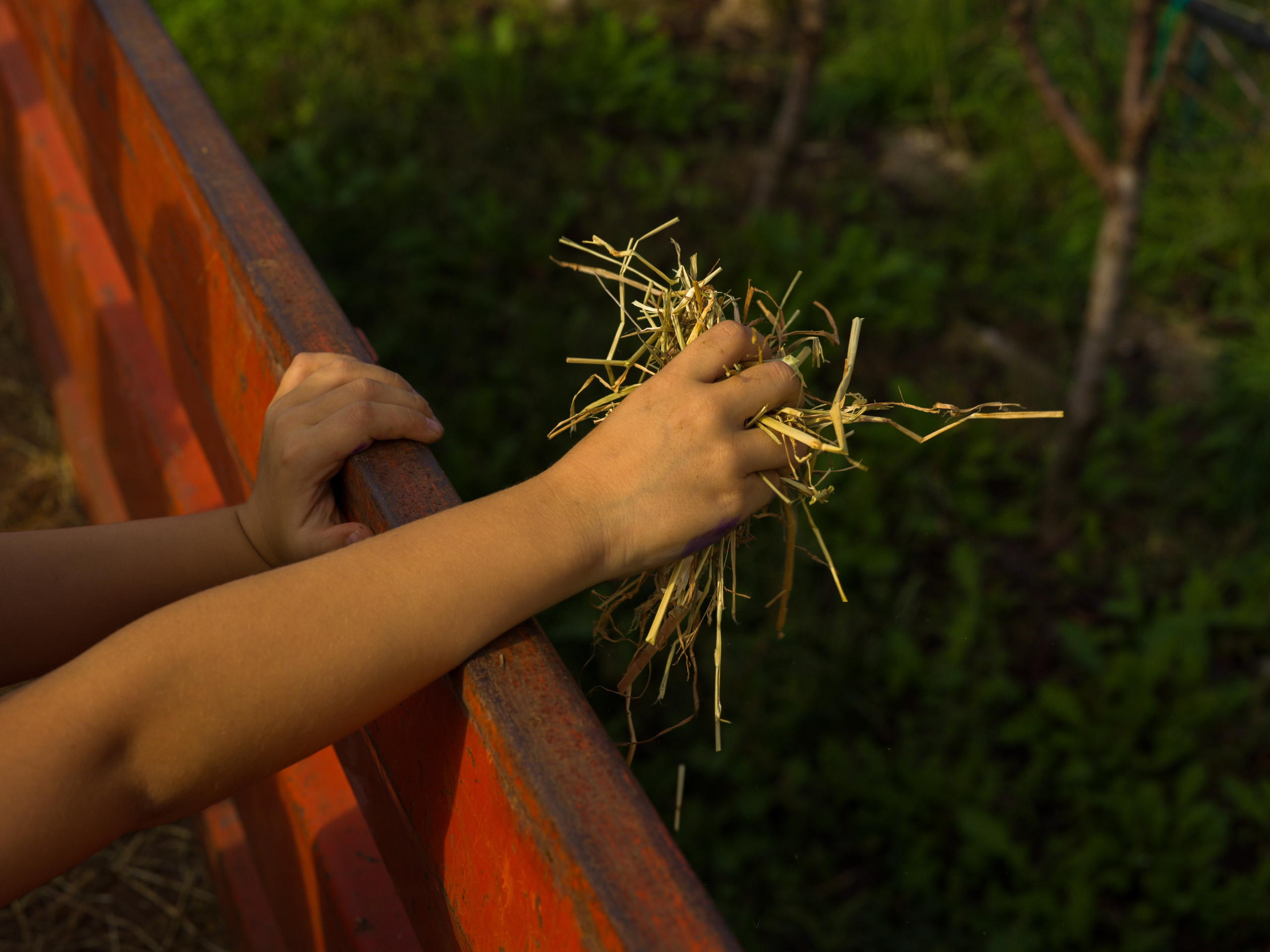 Фотограф на детский праздник в Италии | Дни рождения и мероприятия. Ale Kor — Фотограф в Италии | озеро Комо, озеро Гарда, Верона, Доломиты