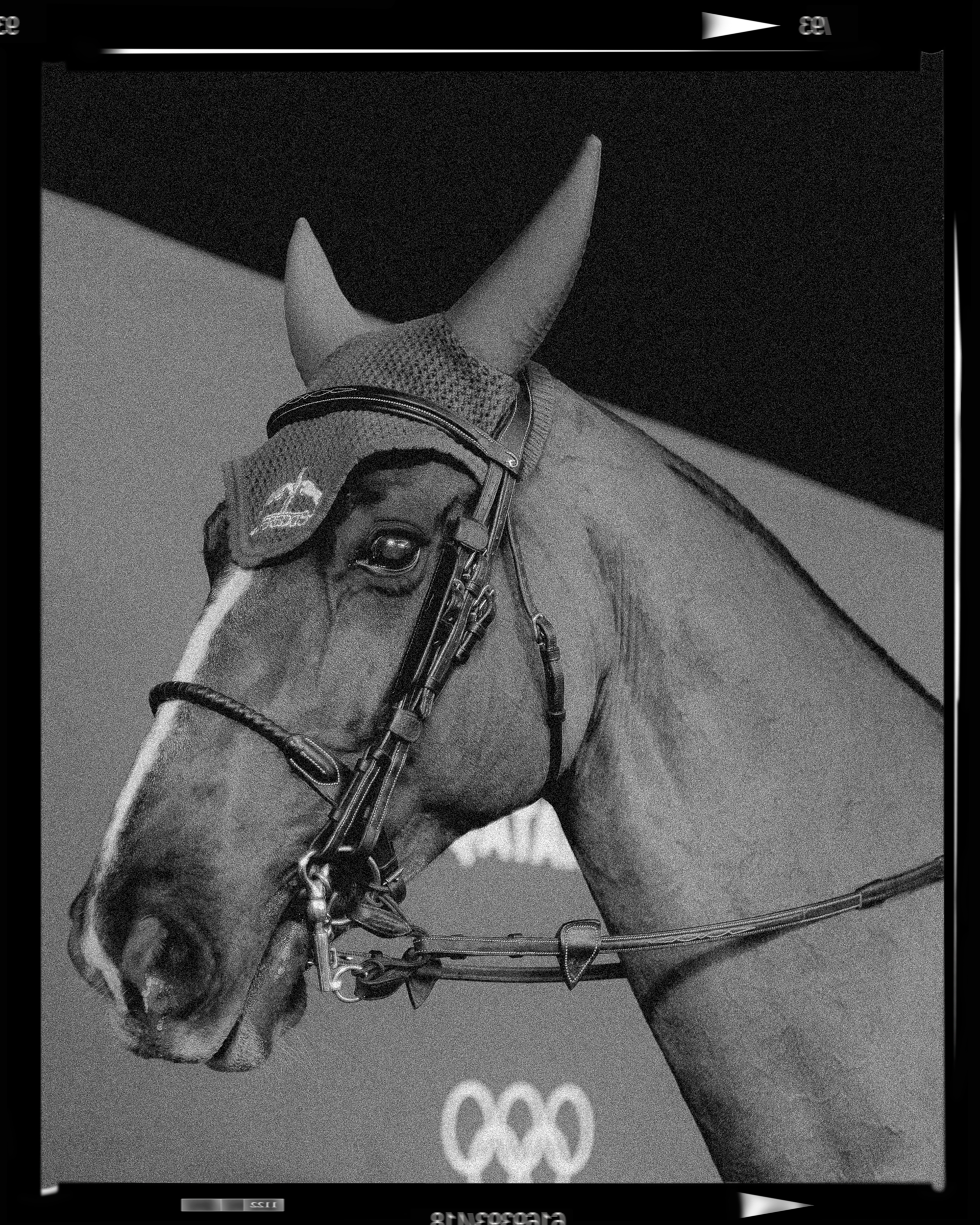 Doha Tour 2024 🐎. Regina Turbin — official website