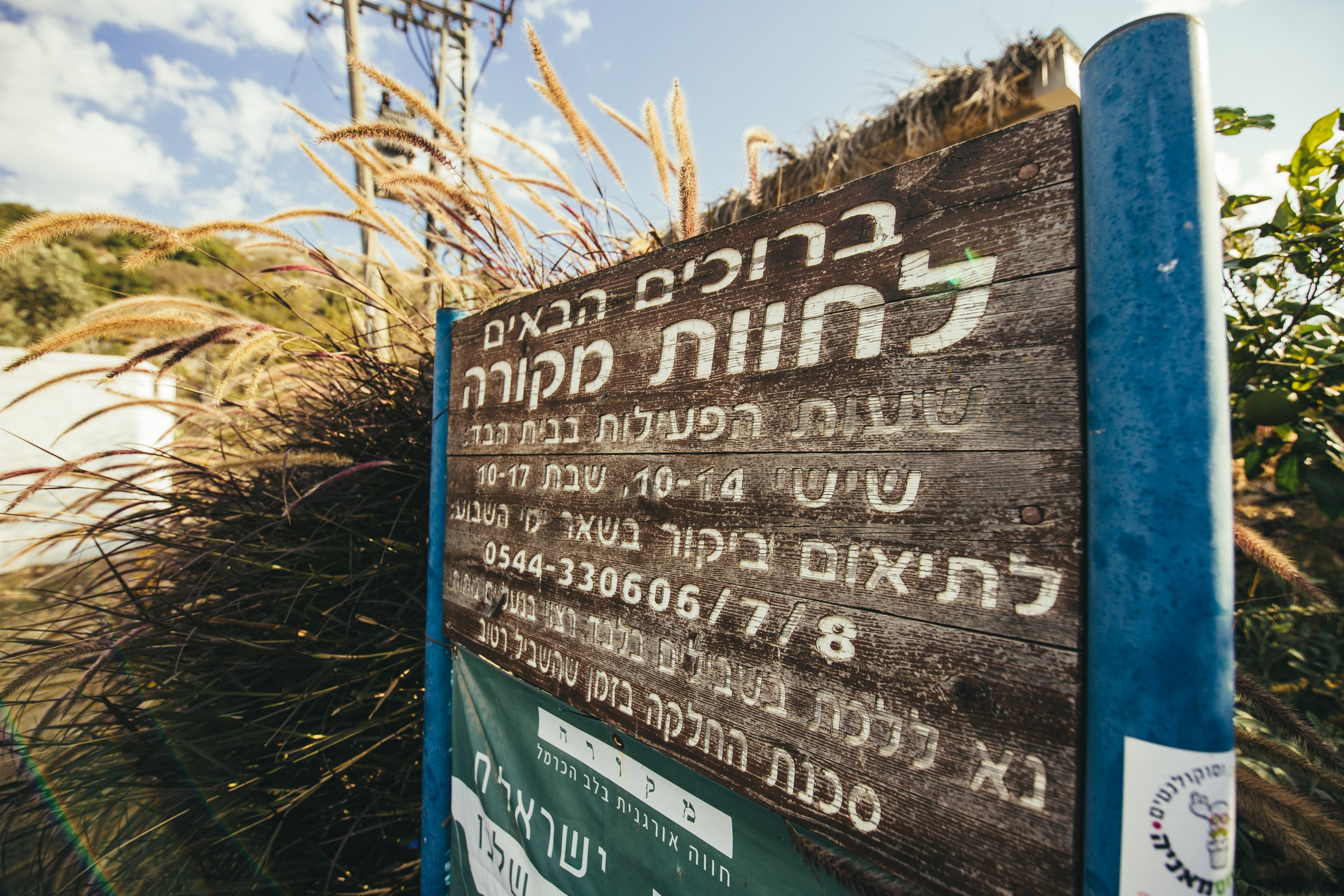 זרעי גדרה — SYNGENTA. AMIR BUCHNIK PHOTOGRAPHER