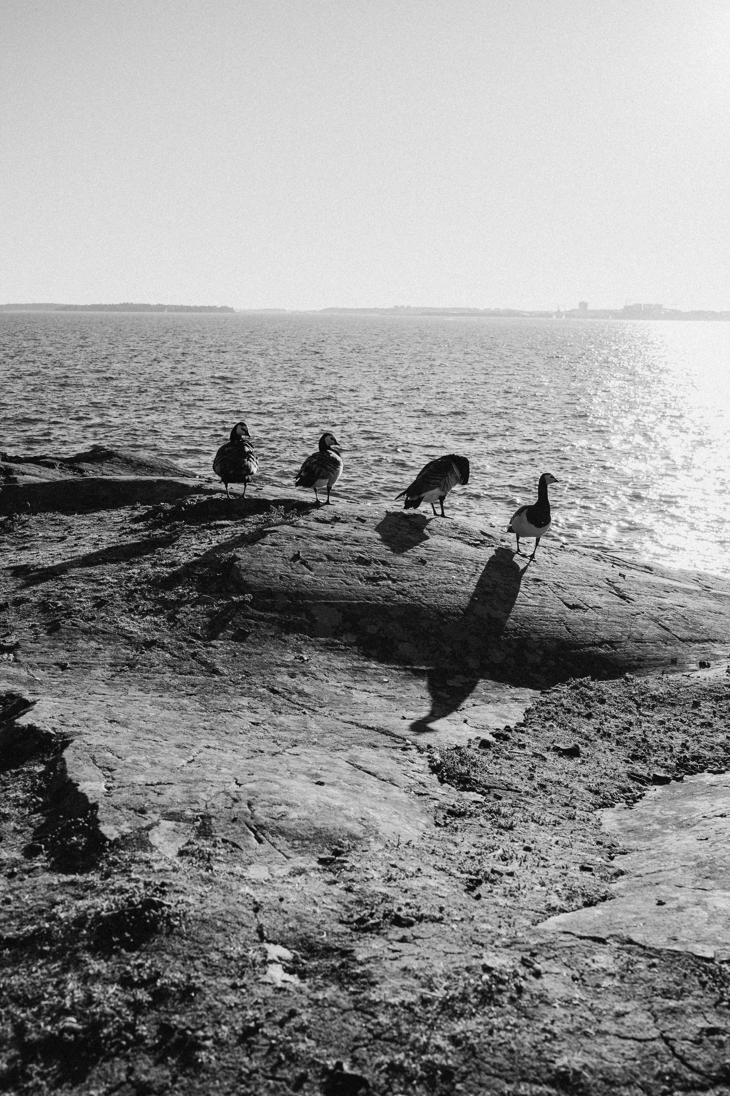 Beloved. Wedding and potrait photographer in Helsinki Vickan O