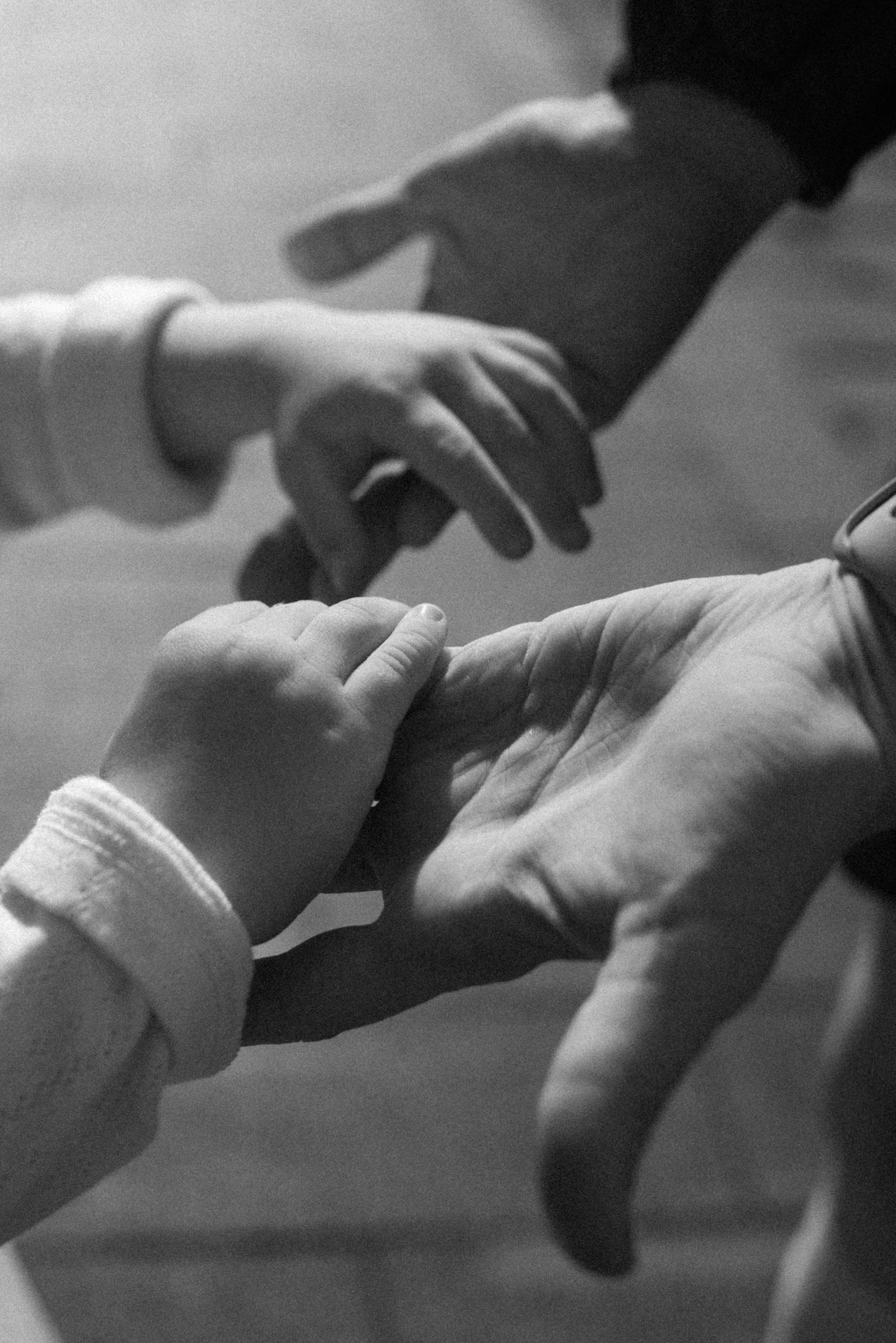 J.R.V. Семейный фотограф. Сербия. Нови-Сад. Белград