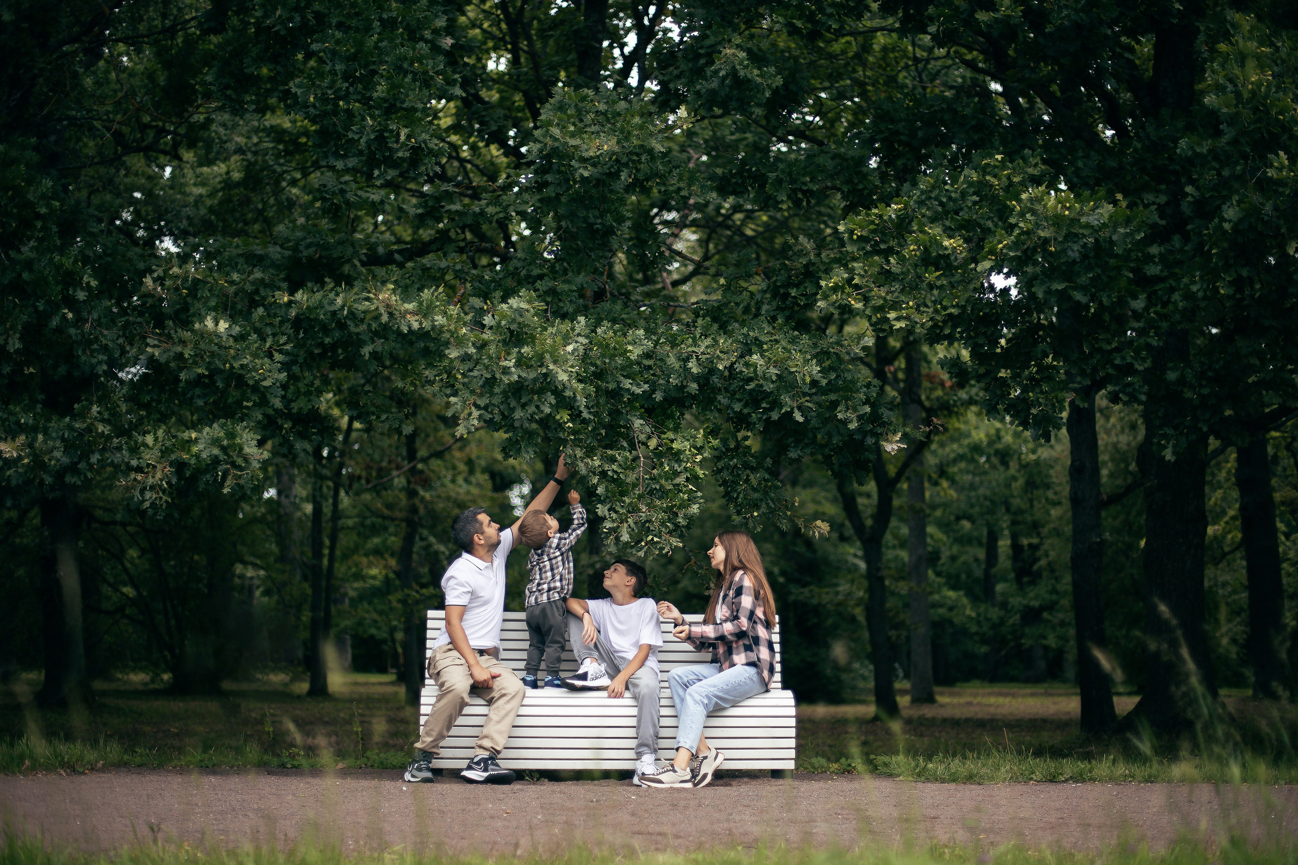 Прогулка в парке. Главная