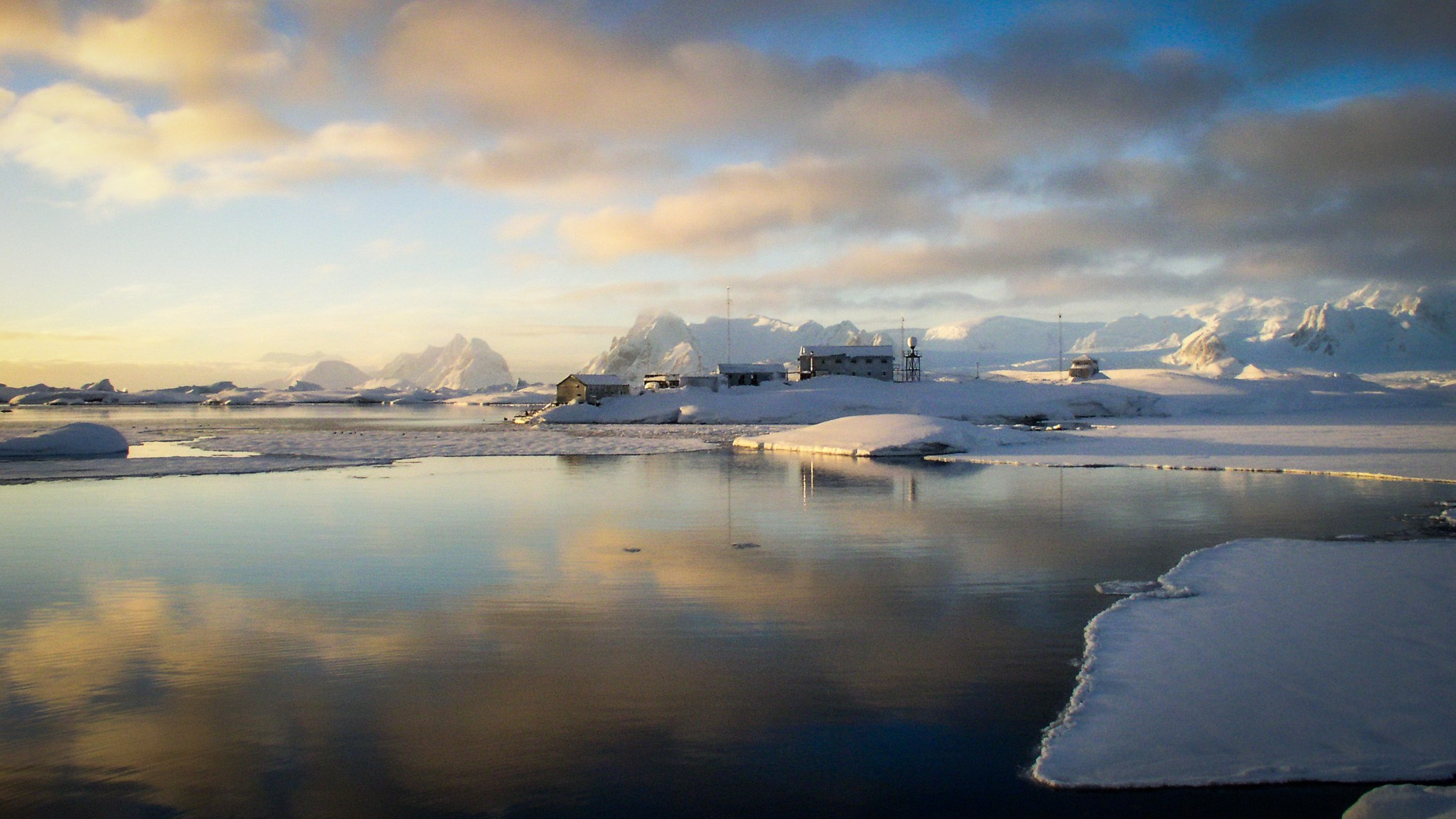 ANTARCTICA / 2004. Reportage concert portrait photography in the San Francisco Bay Area