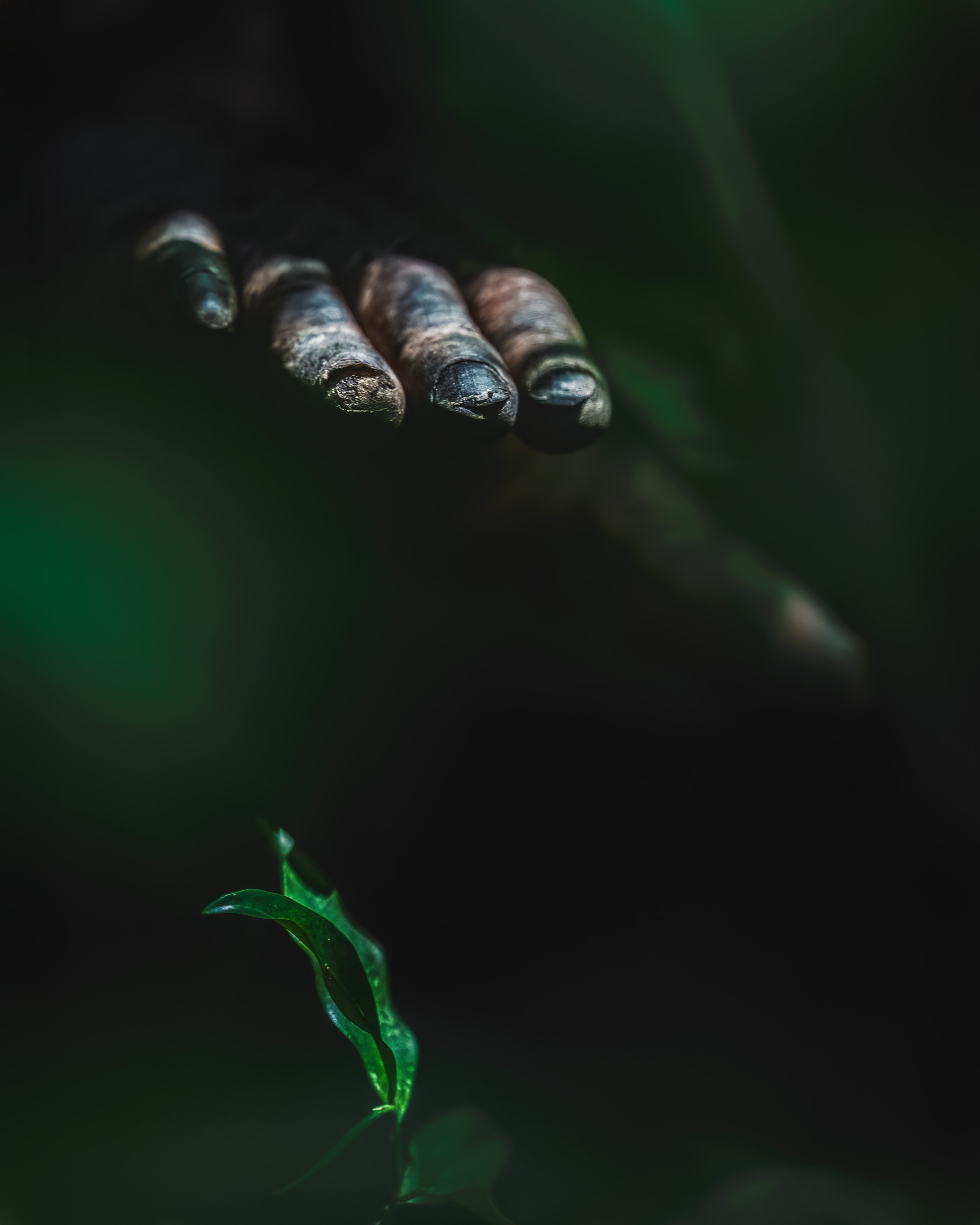 GALLERY. Fine art wildlife photographer Alexandra Surkova