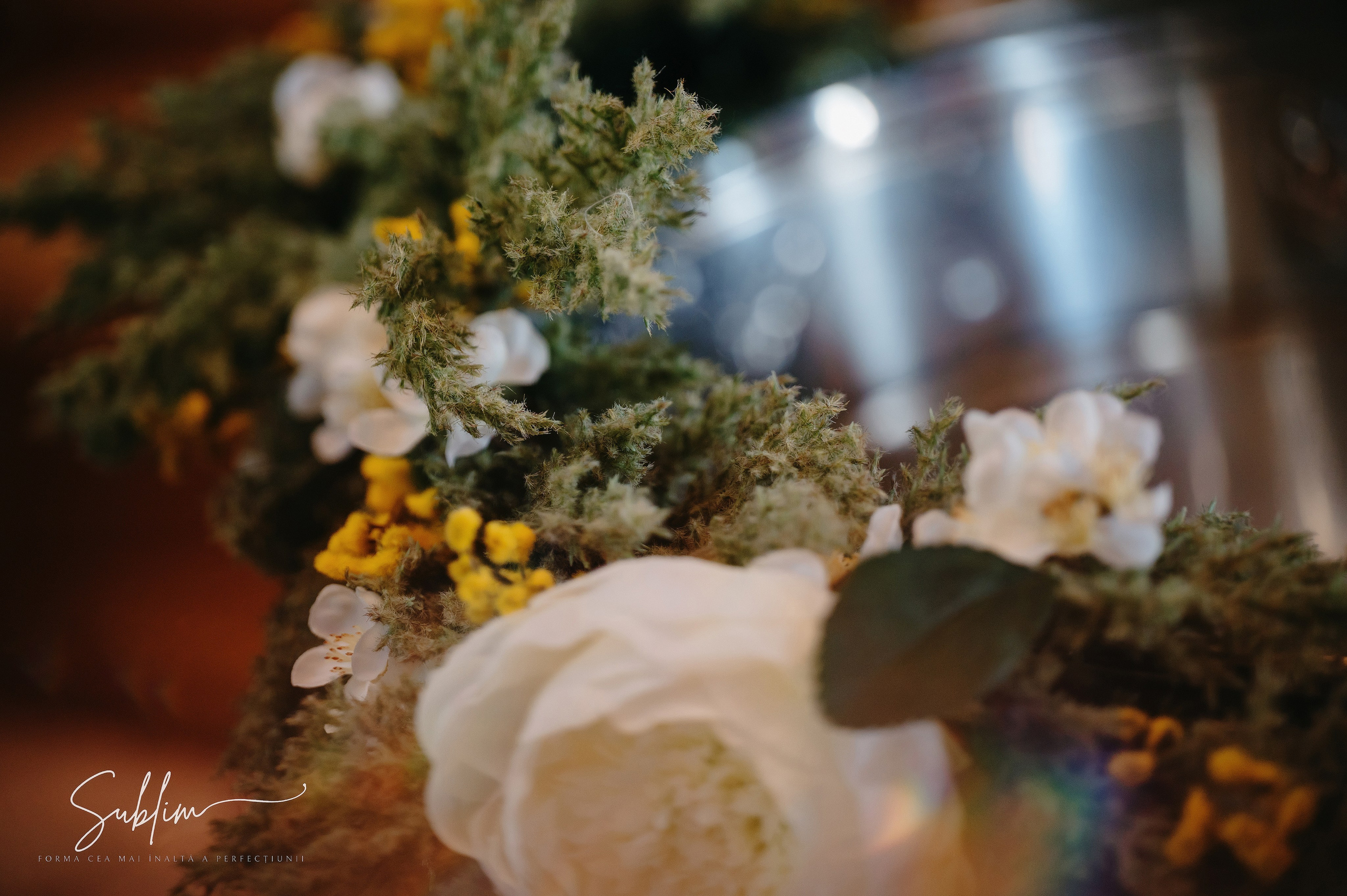 Sublim. Laurentiu Stefan StoryTeller