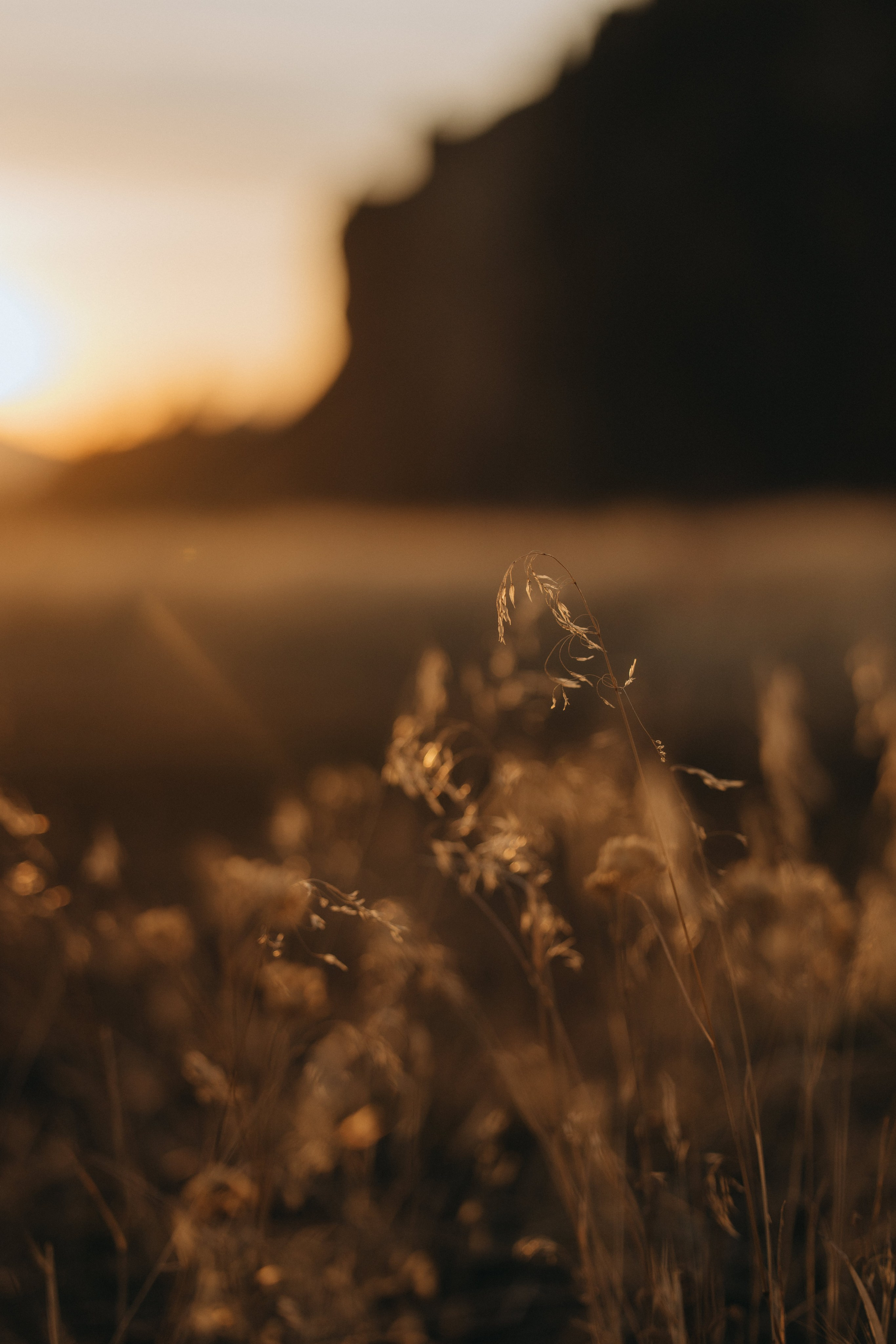 Shelby & Riley Engagement Session | Smith Rock State Park, Oregon. Portland & Seattle Wedding, Elopement & Engagement Photographer | Georgy Shishkin