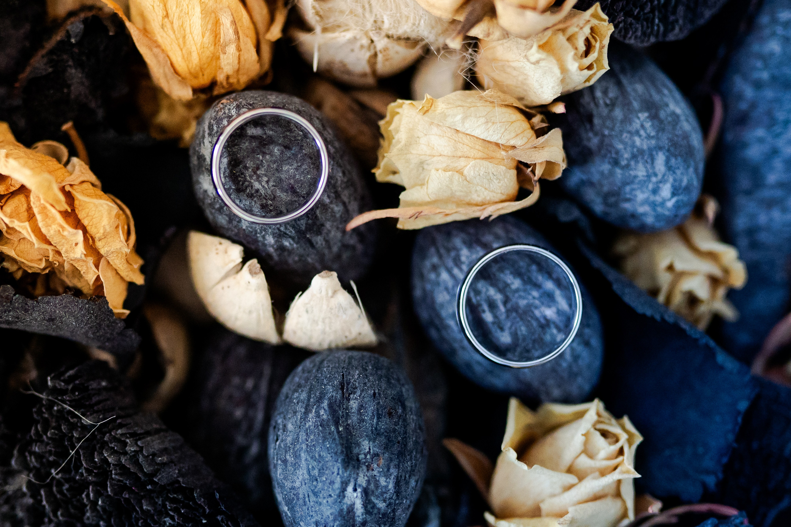 Fotografii nunta Ploiesti – Galerie ARN Events. Fotografie | Videografie | ARN Creative Events