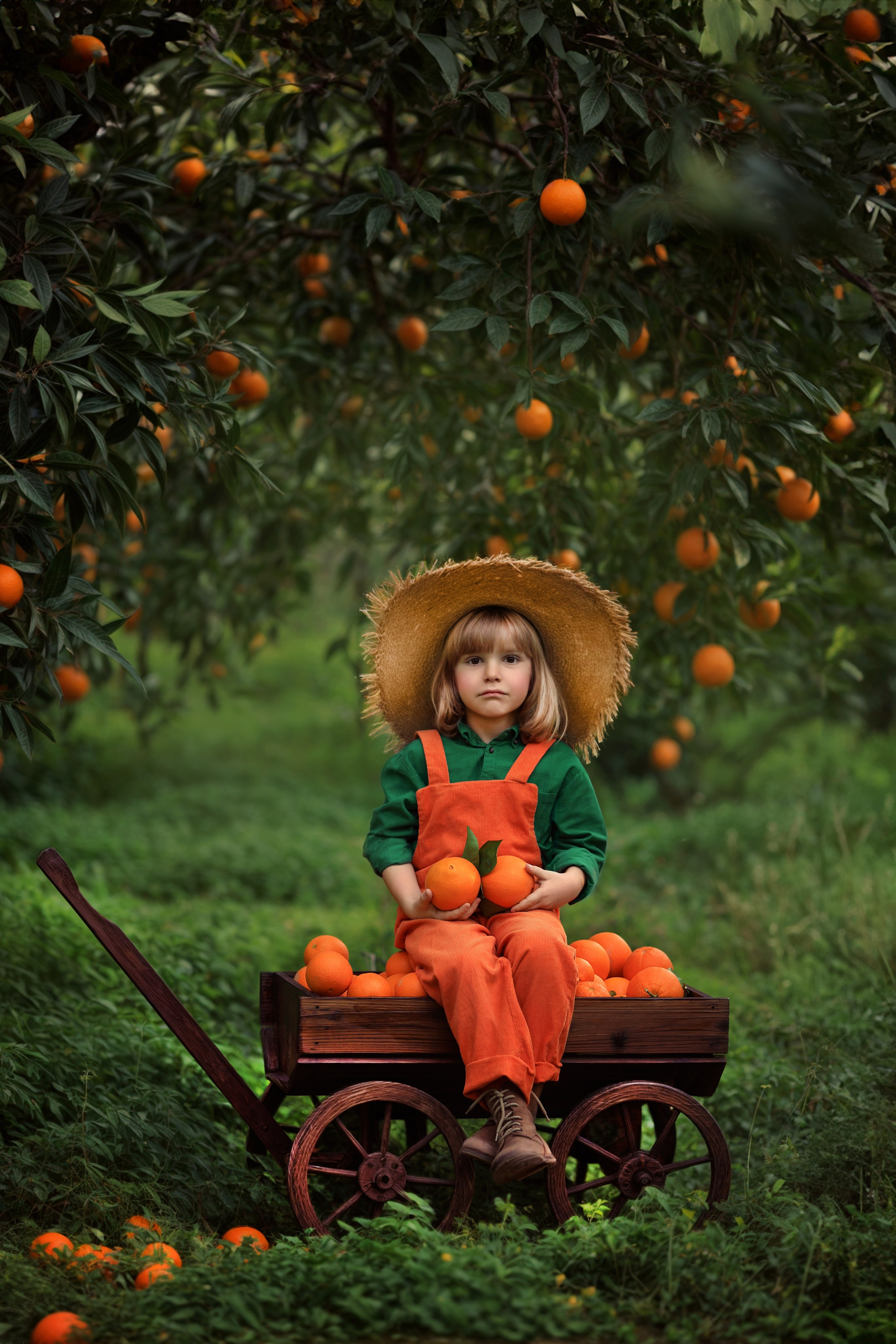 Photoshooting in orange garden. Photographer in Turkey, Antalya, Kemer, Belek, Side, Kas, Fethiye