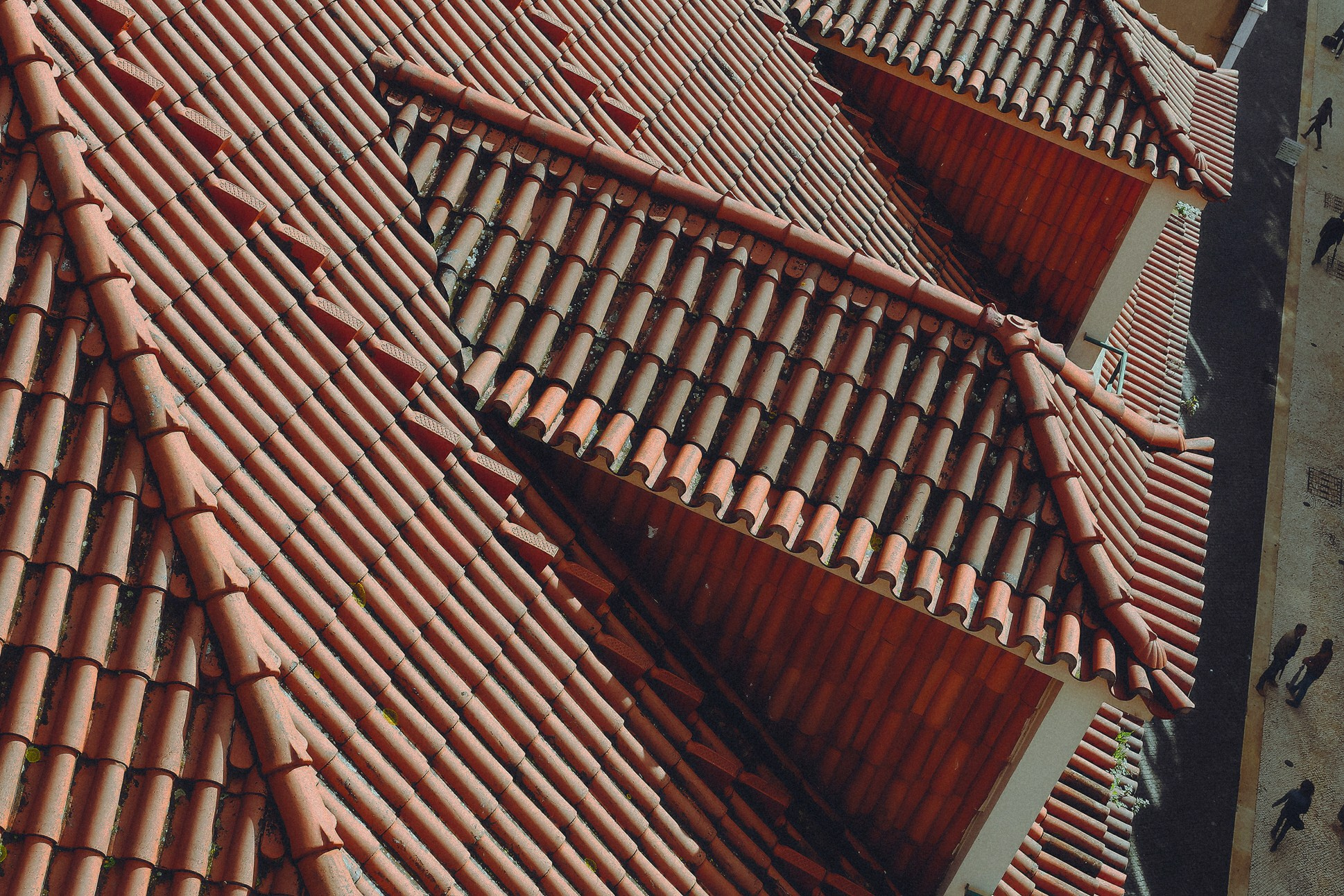 Португалия. Портретный фотограф Алена Новгородцева