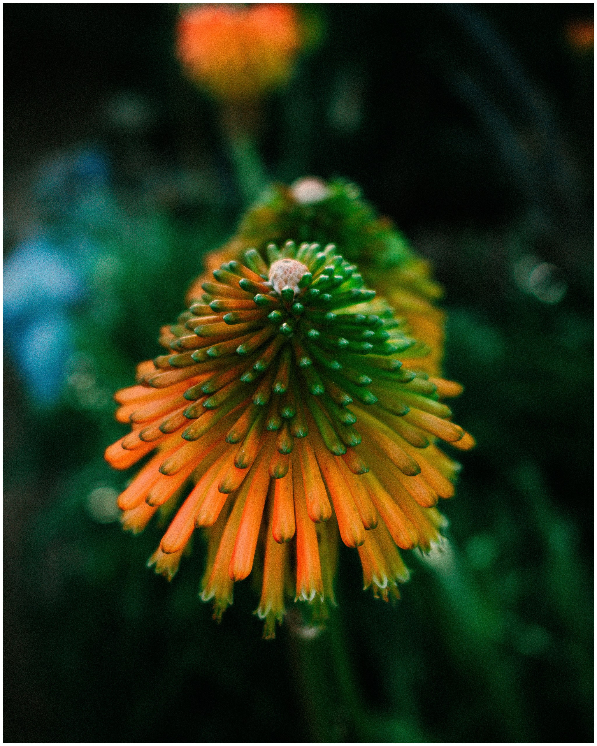 BARCELONA. Inna Mendelson — Photographer