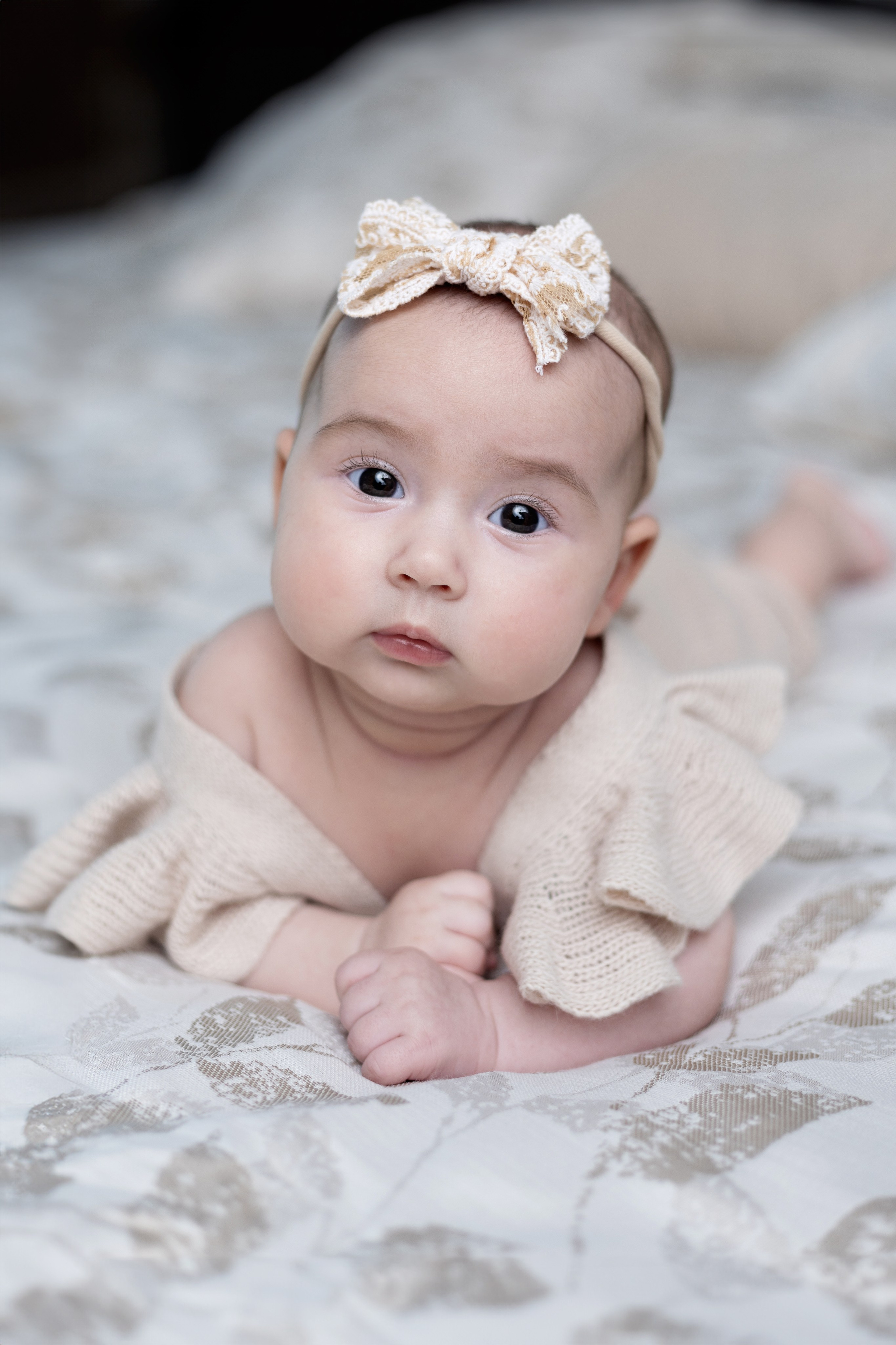 Family and newborn photographer