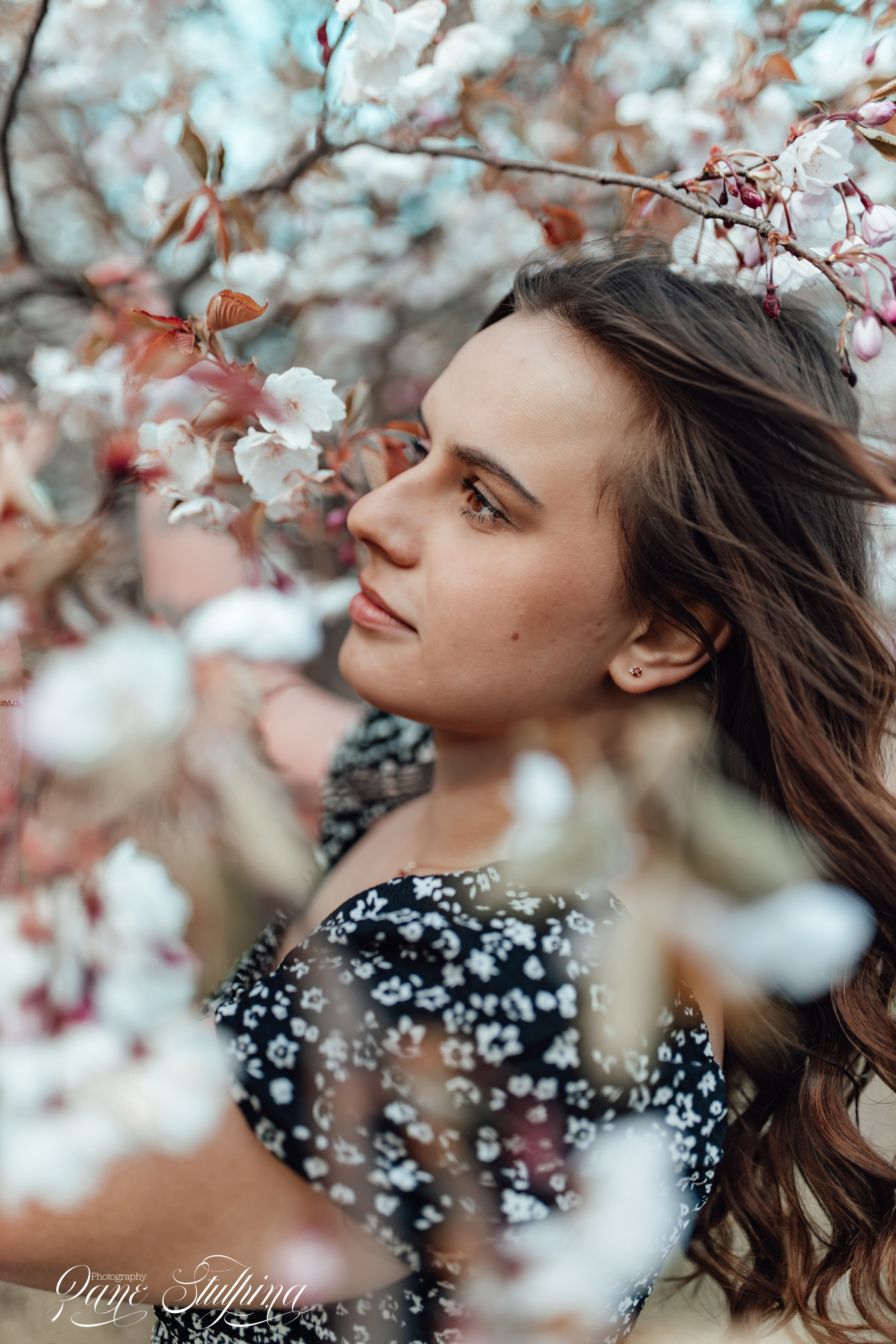 Fotogrāfe Zane Stulpiņa