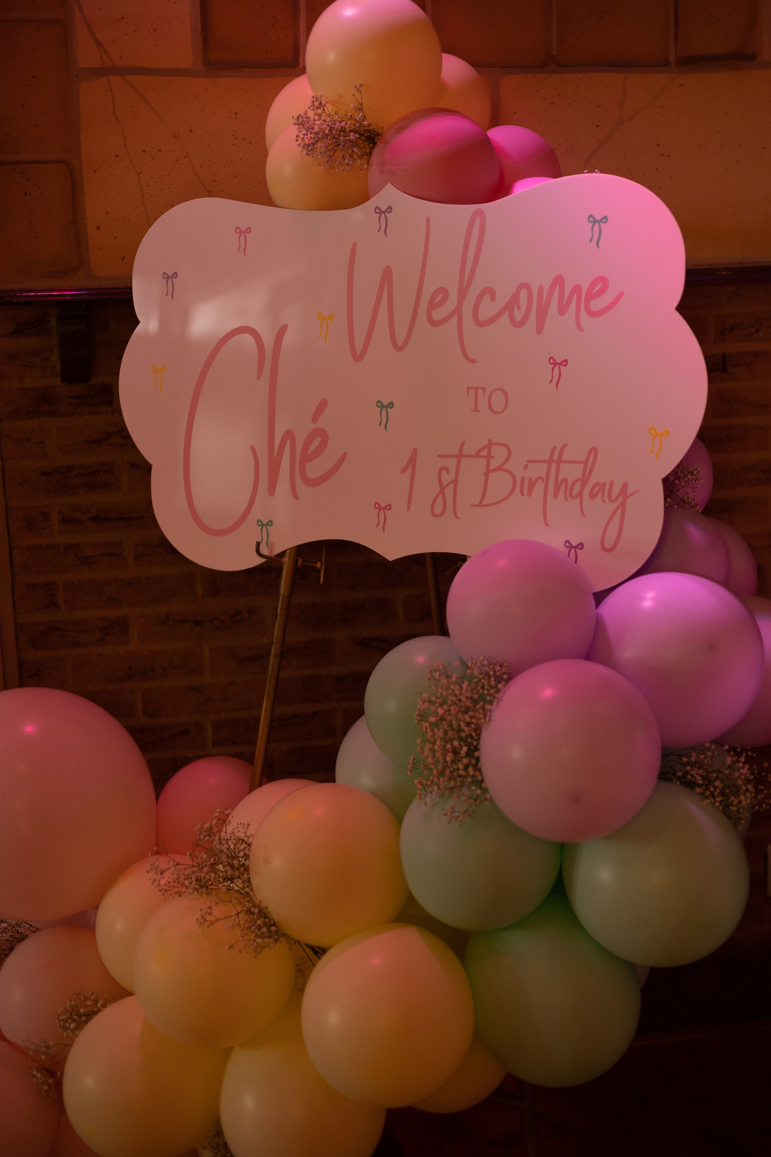 1 st Birthday. Portrait and Family Photographer in Netherlands