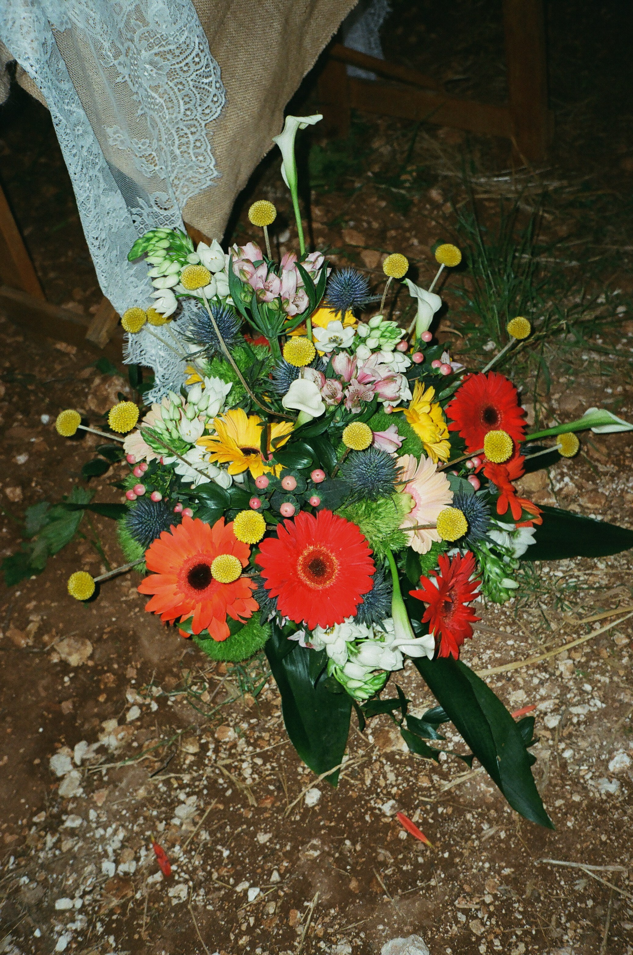 Stephanie & Christian film photos. Весільний фотограф Вікторія Саврук