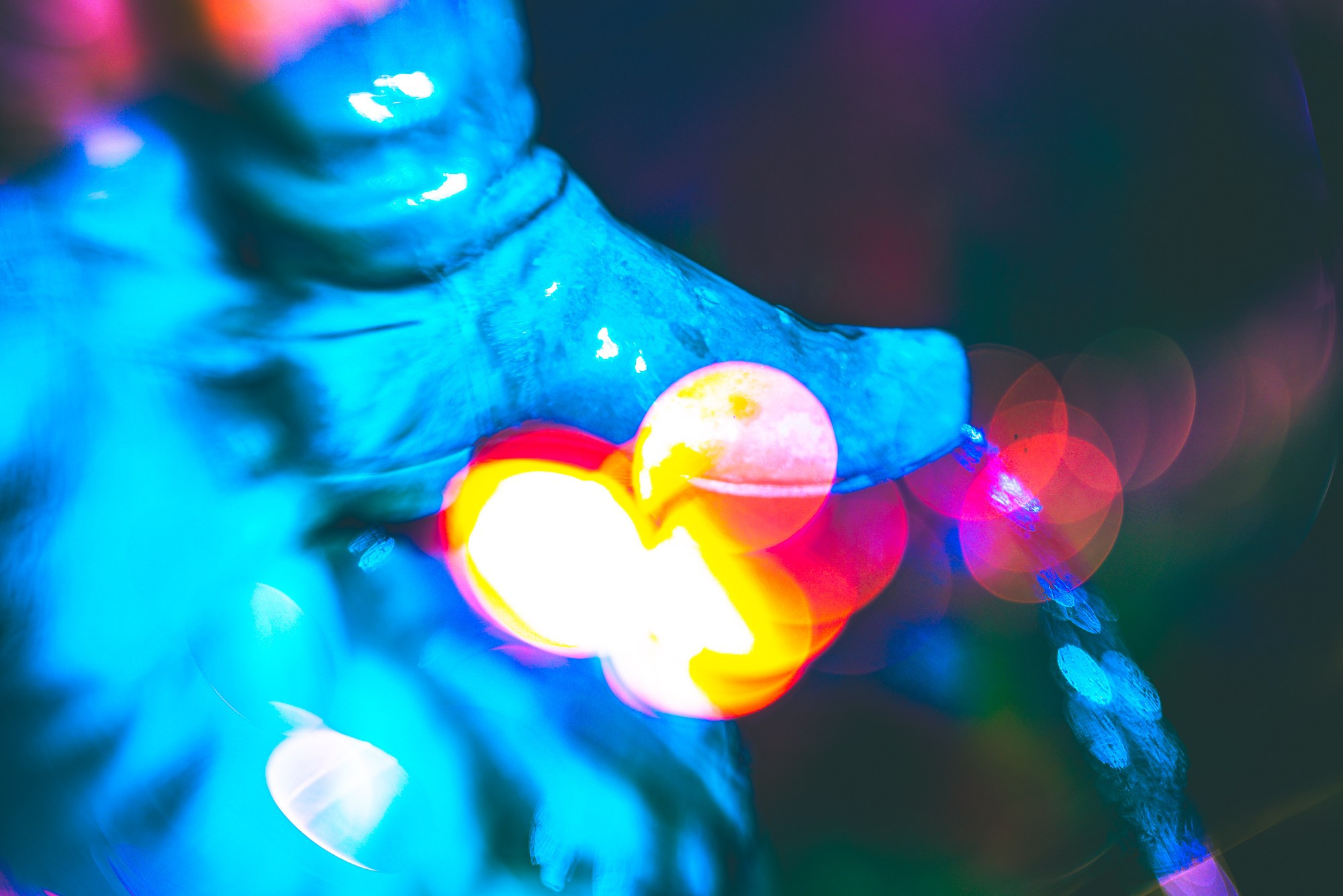 Allegory. Ekaterina Tsurkina-Appina Photography Canada