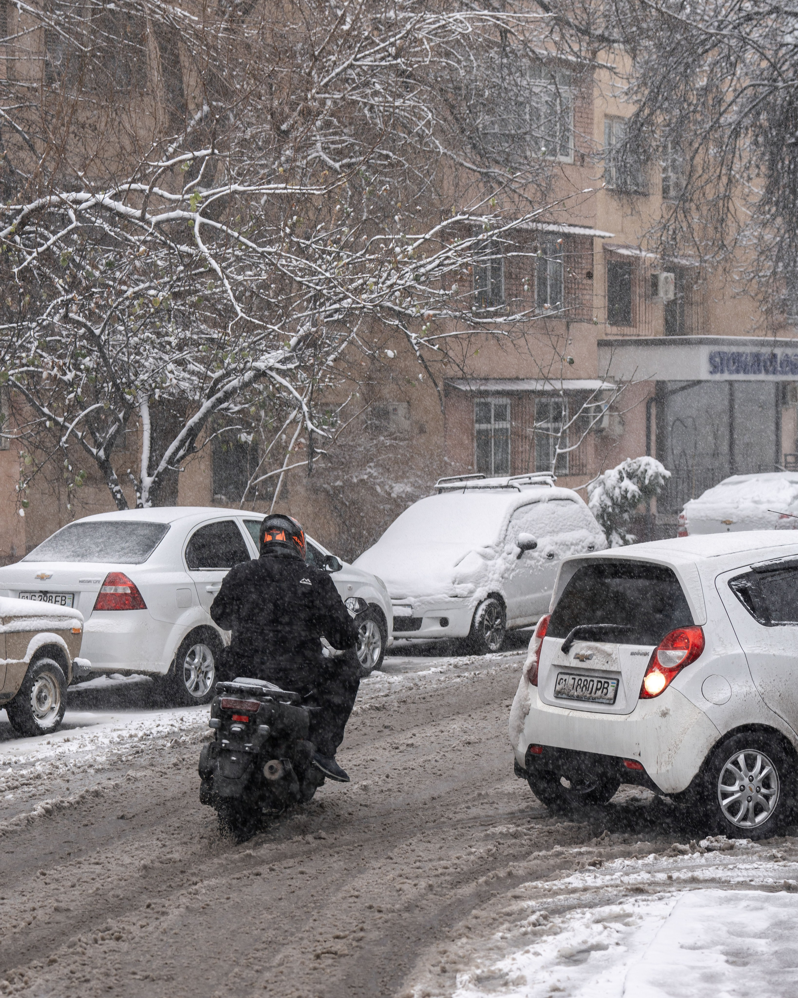 Снег. Георгий Намазов | Фотограф в Ташкенте