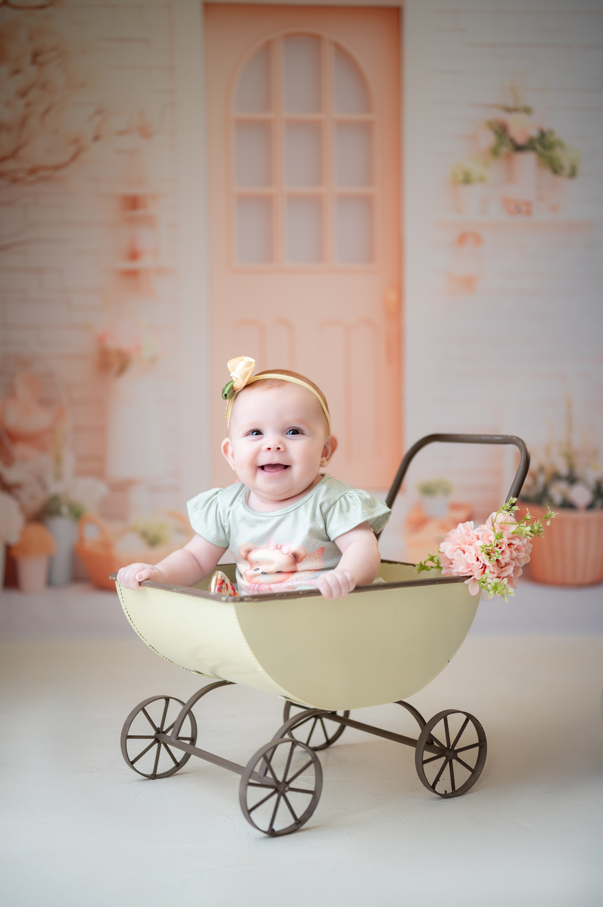 Acompanhamentos. Fotografamos famílias, gestantes, bebês e ensaios individuais