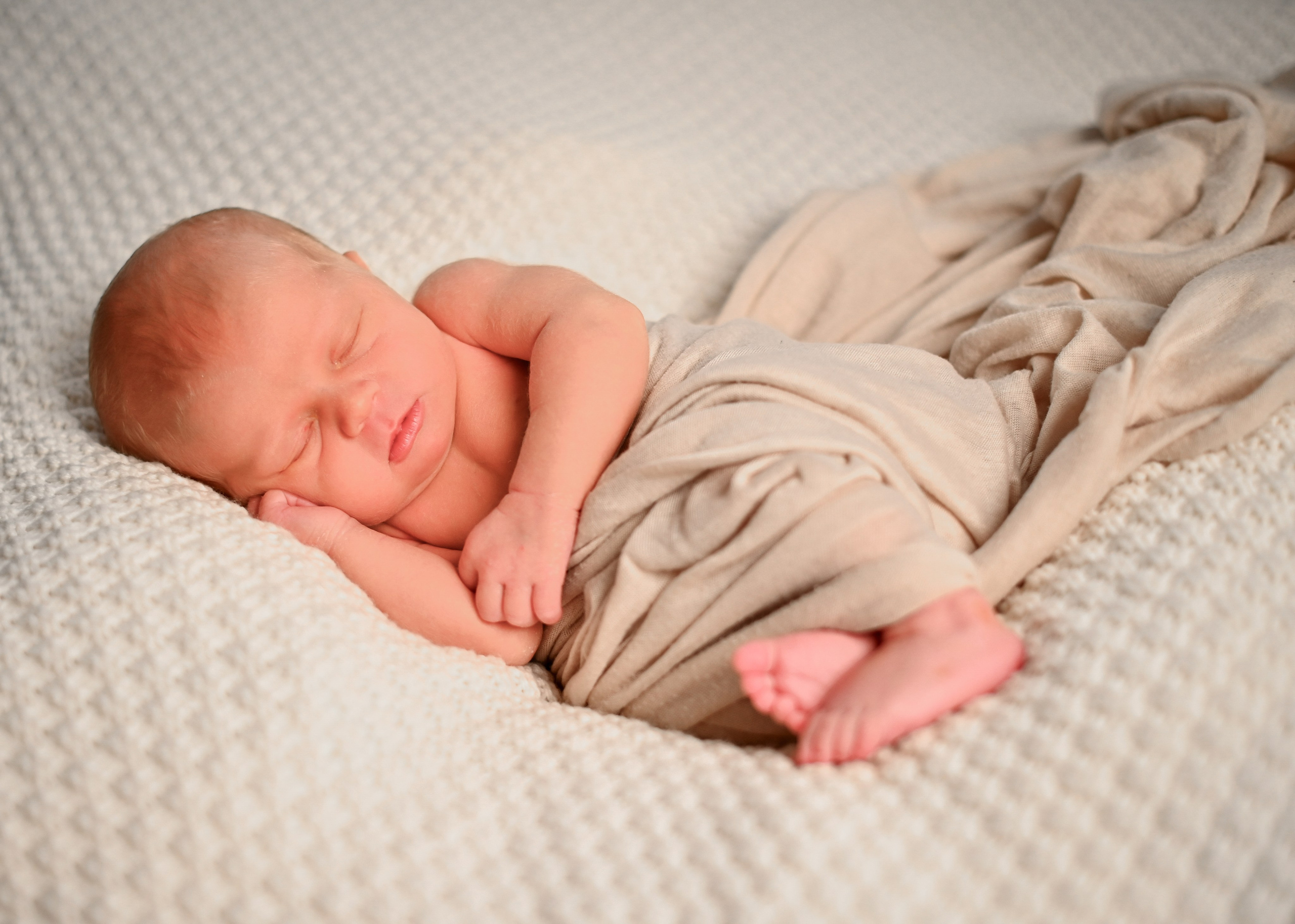 Neugeborene. Lena Horch