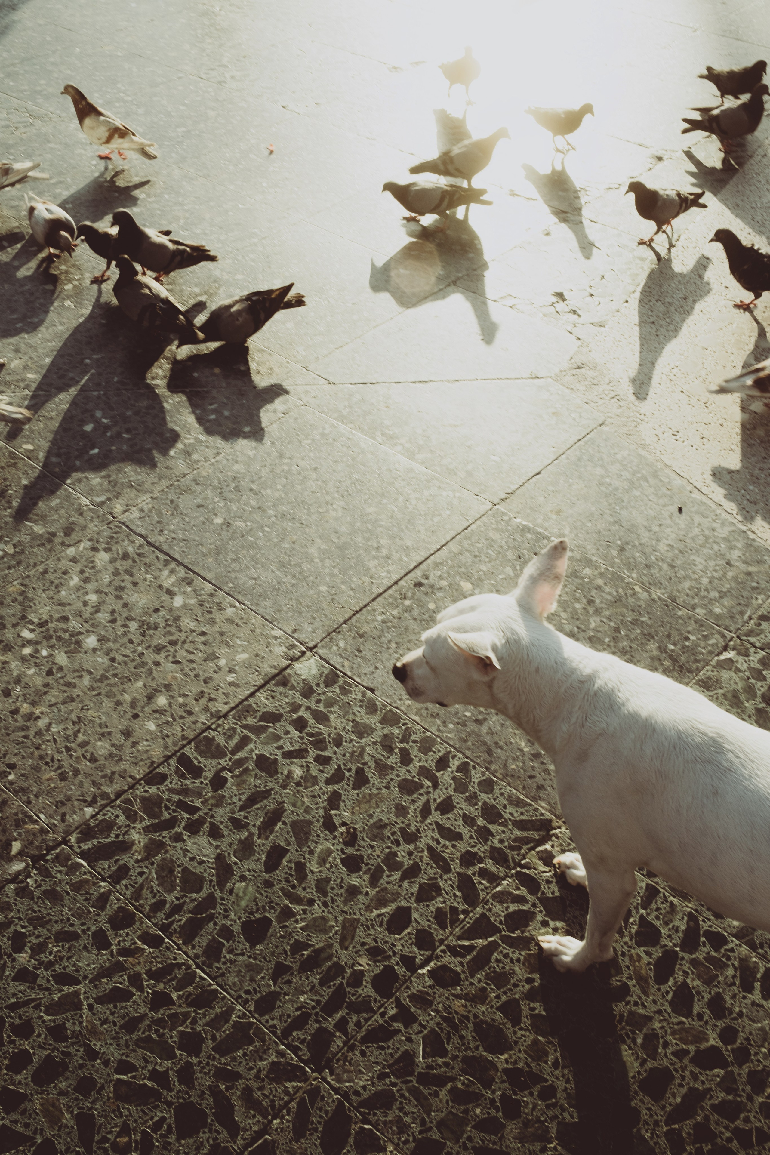 Lisan & Angel. Paola wedding photographer / videographer in Barcelona