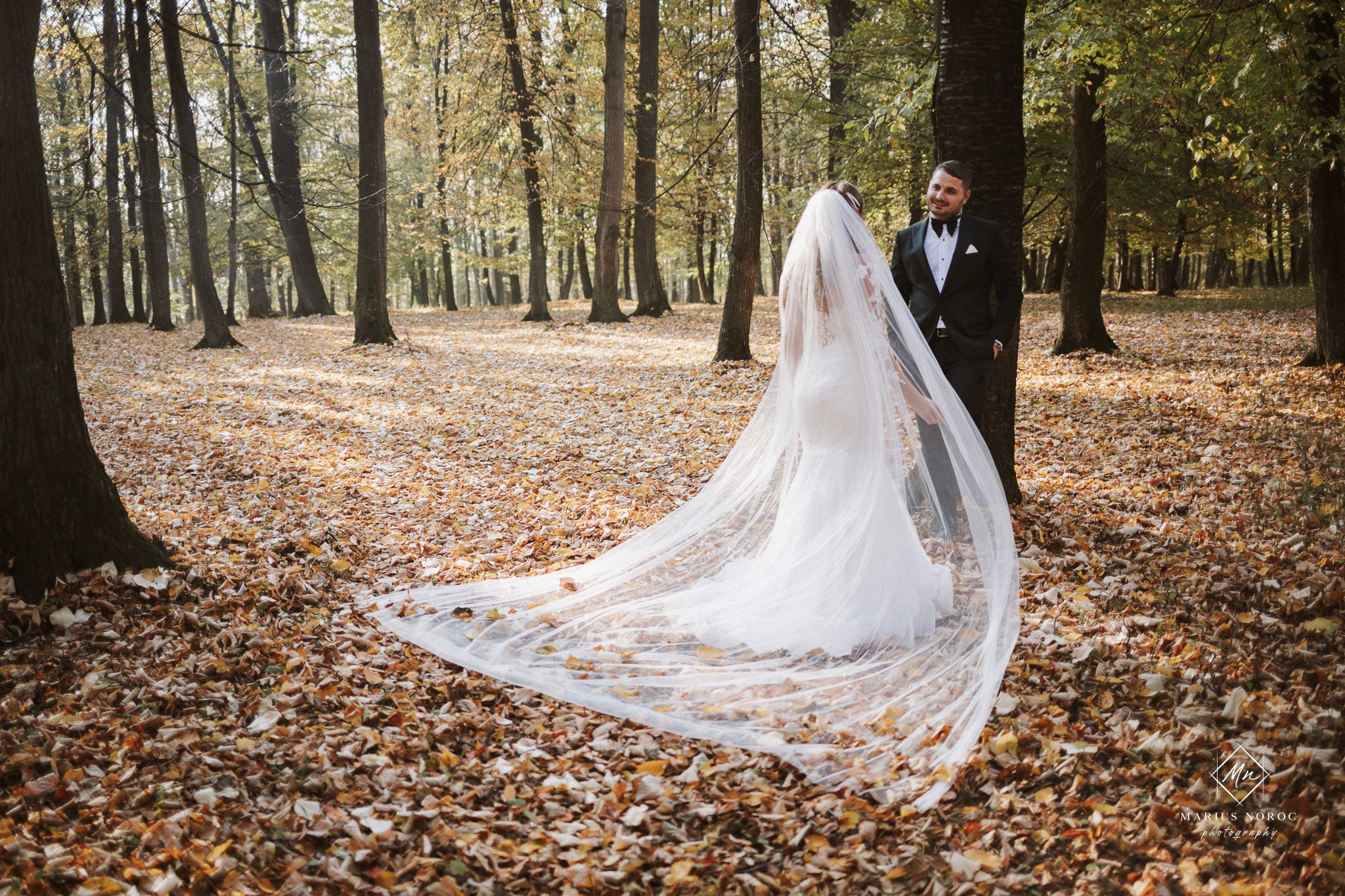 Alexandra & Laurentiu | Padurea Bucium Iasi