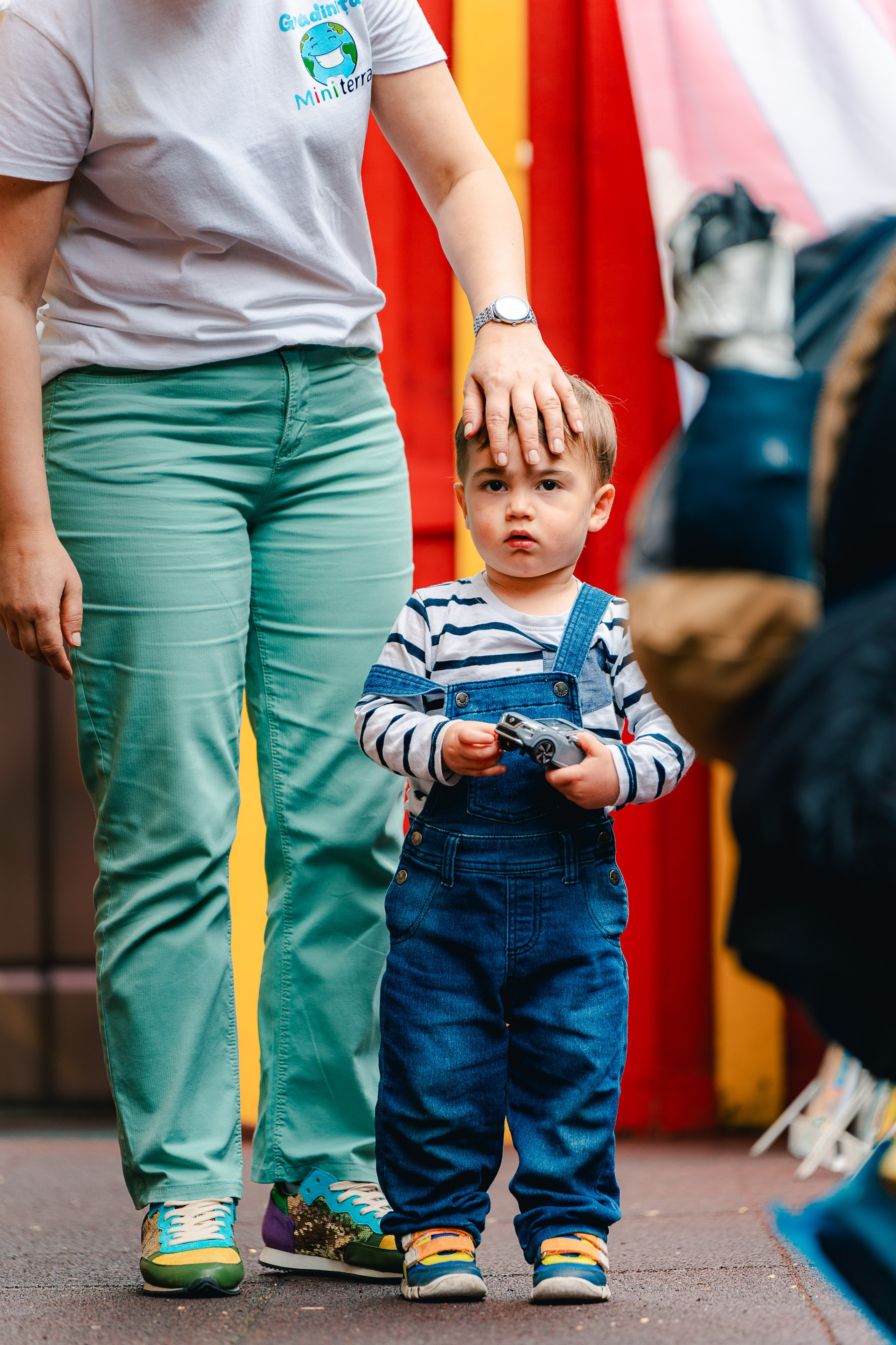 Miniterra Carusel. Liviu Andrei - Fotograf