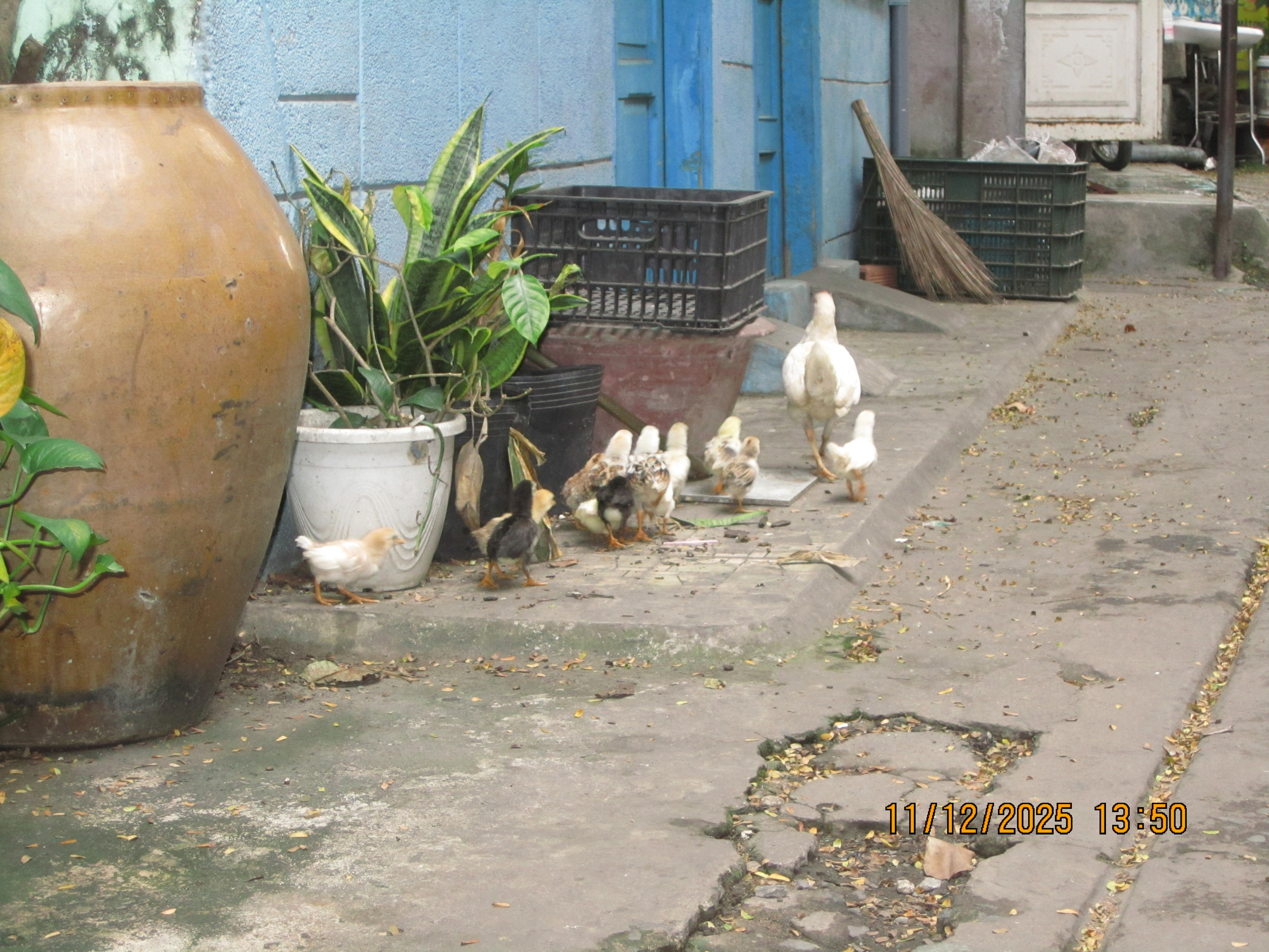 Seitsmeteistkümnes päev. LondoSpeed Photography
