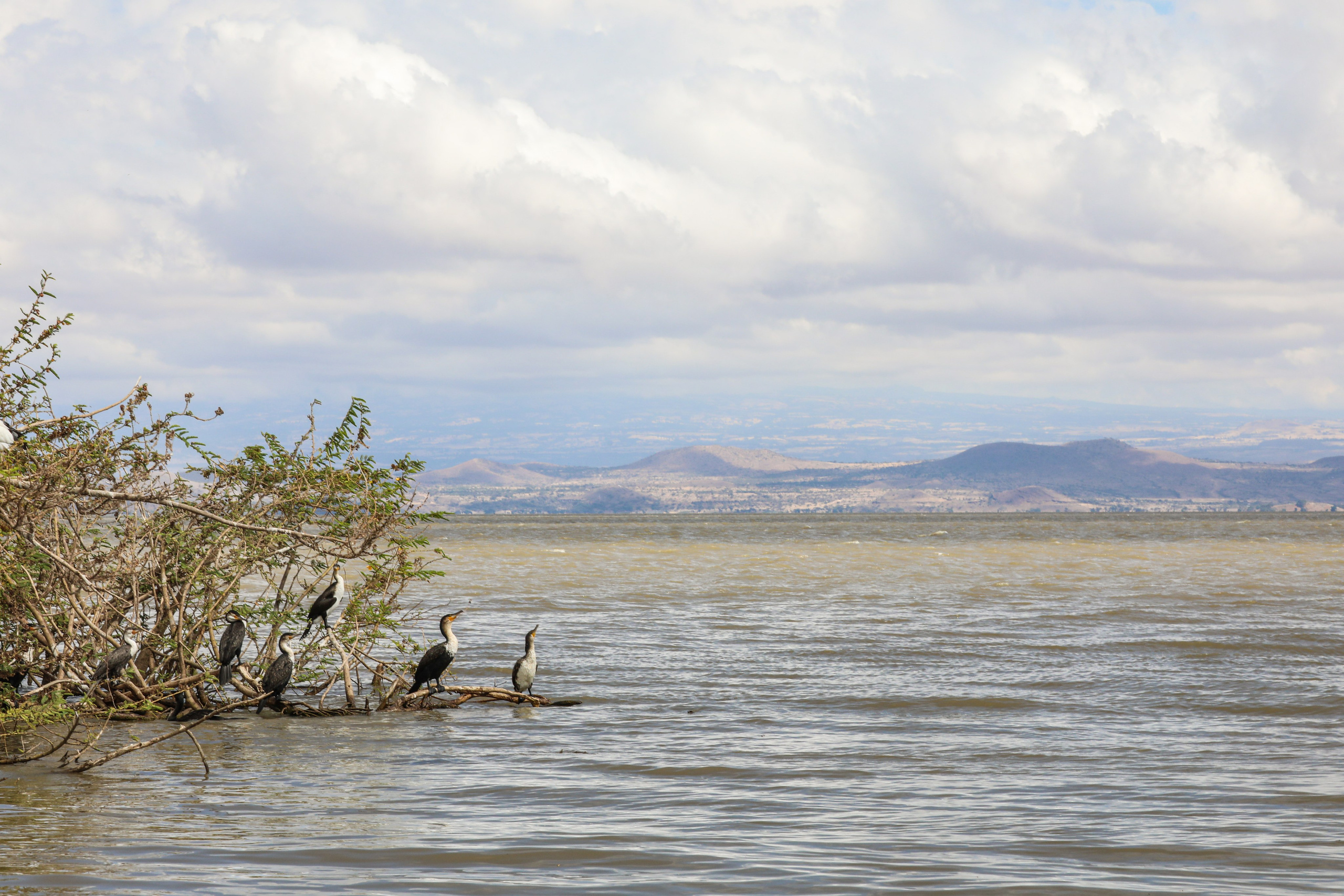Ethiopia. Documentary, lifestile photographer in Morocco Marina Chaikovskaia
