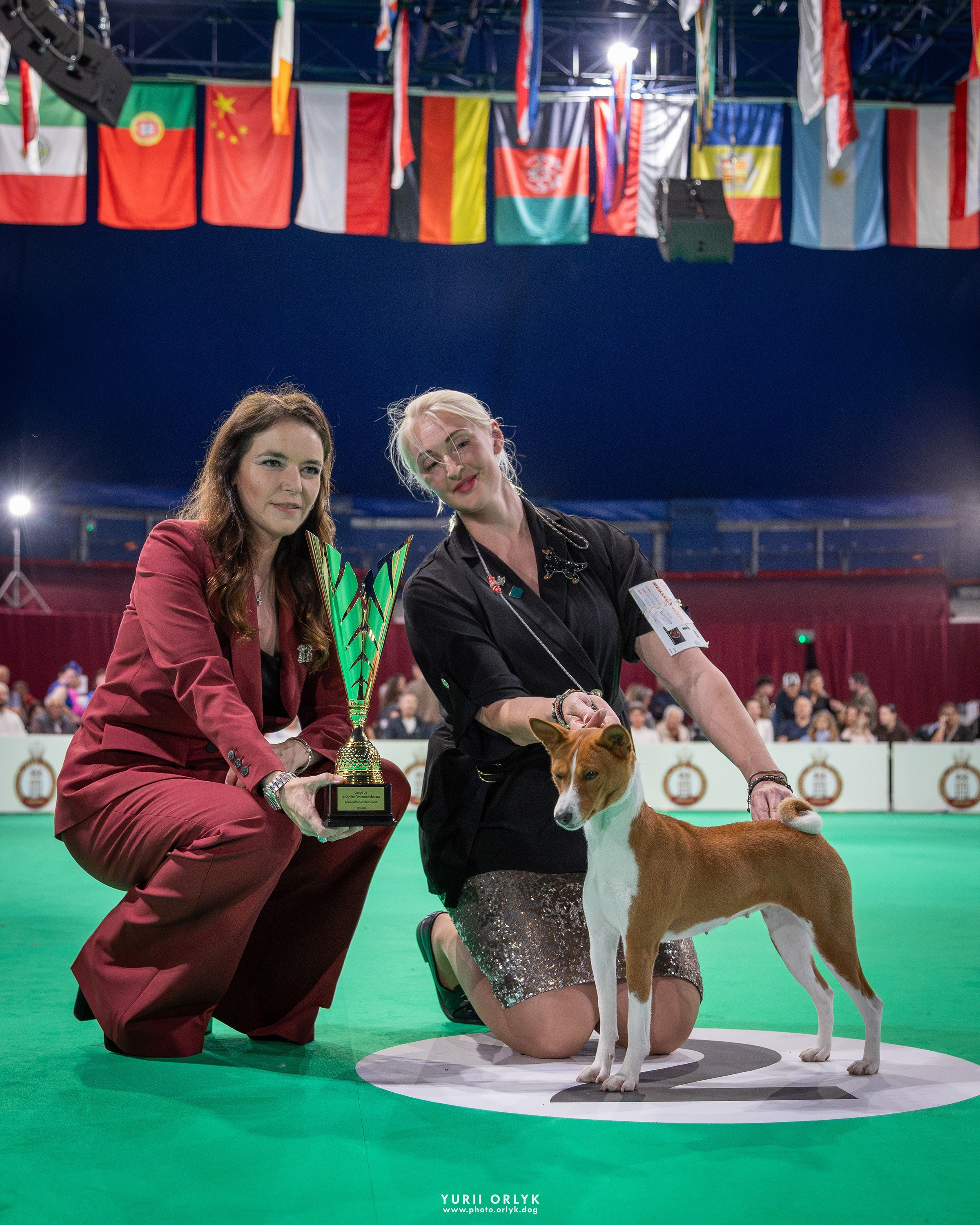 Dog Shows. Yurii Orlyk Photography