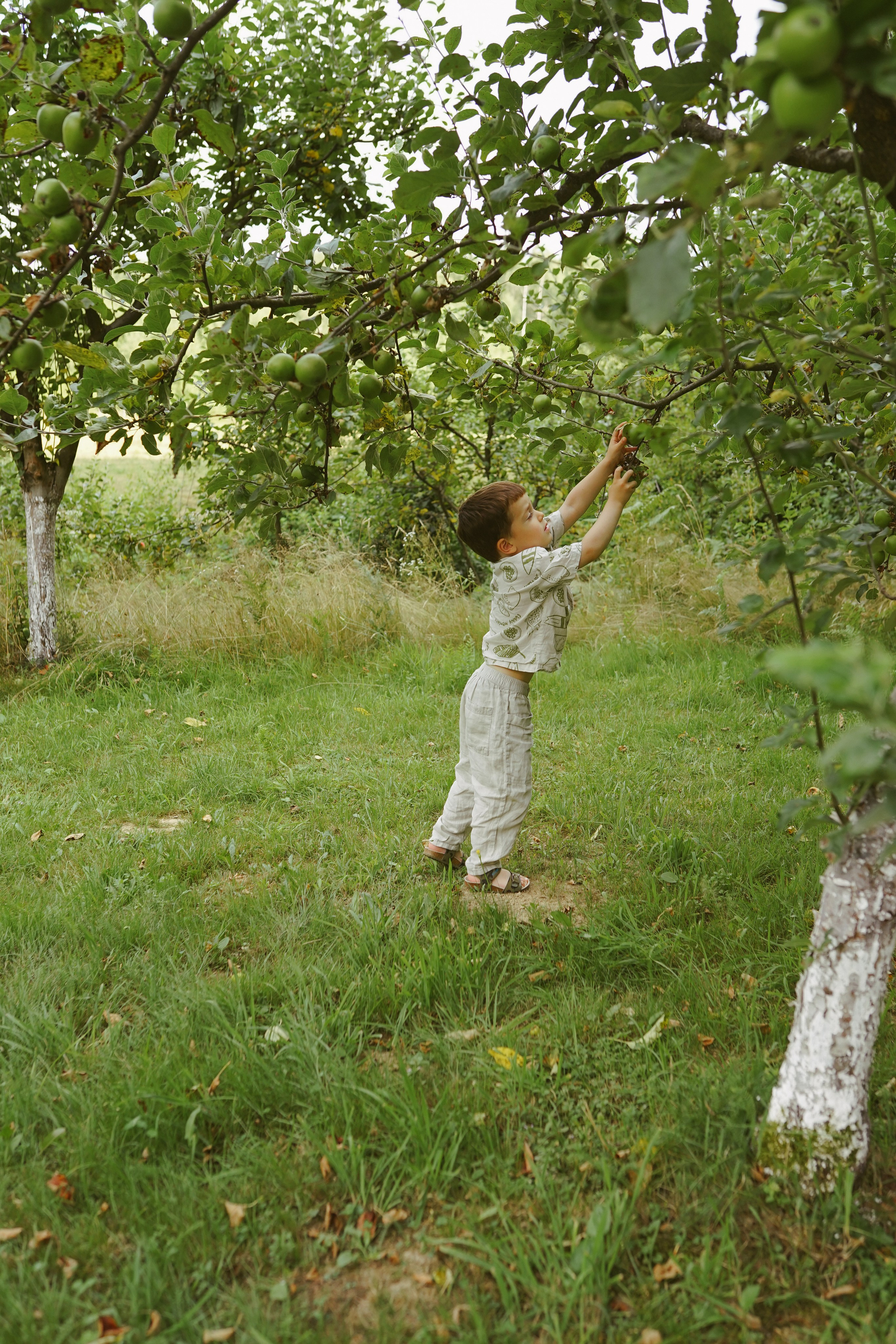 Fotografie de Eveniment Brașov: Povești Vizuale | Mădălina Beda. Madalina Beda- Artist vizual, fotograf, doula la nastere, consultant babywearing Brasov si in toata tara