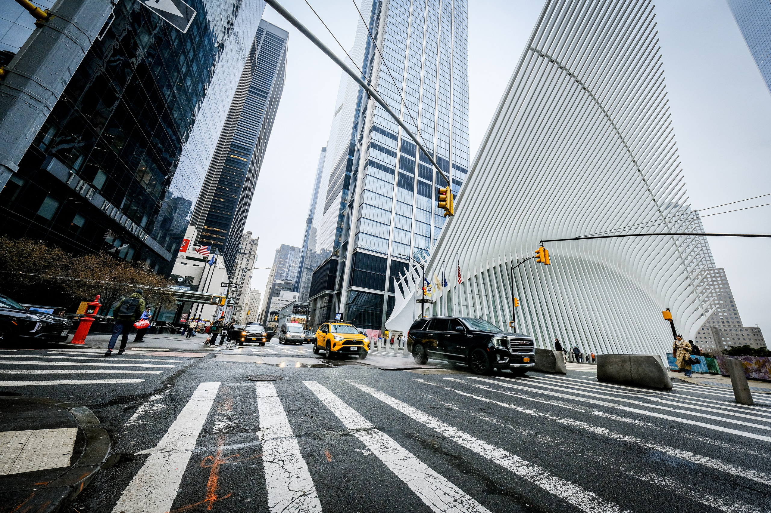 NEW YORK / 2025. Reportage concert portrait photography in the San Francisco Bay Area