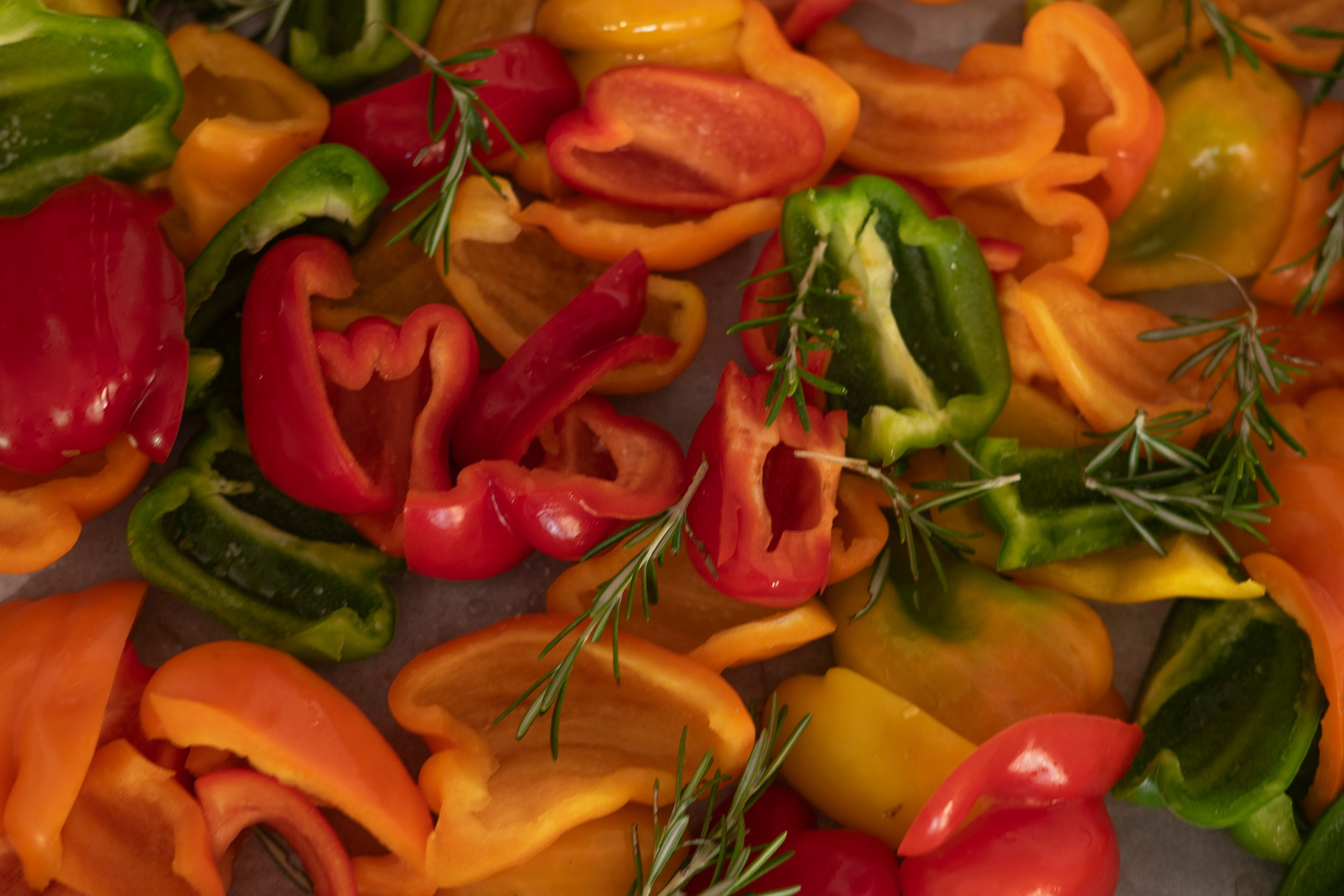 Wellness Camp. KATY GOLD PHOTOGRAPHY