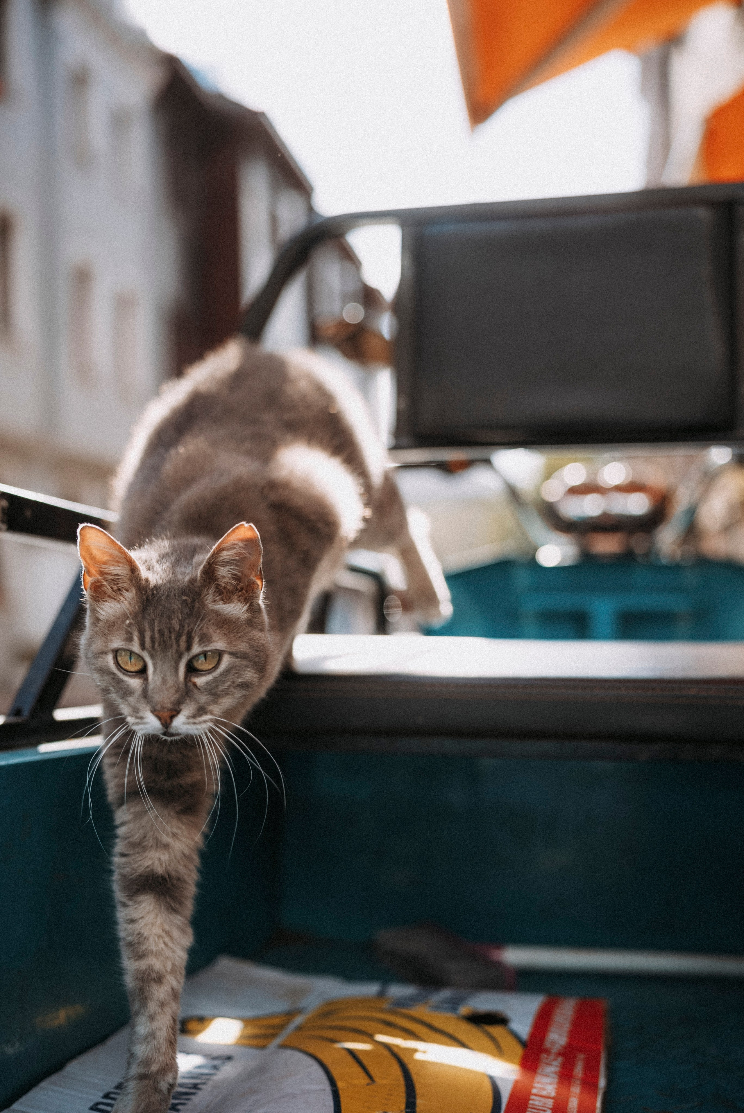 СТАМБУЛ. Стрит-фотография, полная абсурда, идиотизма и красоты