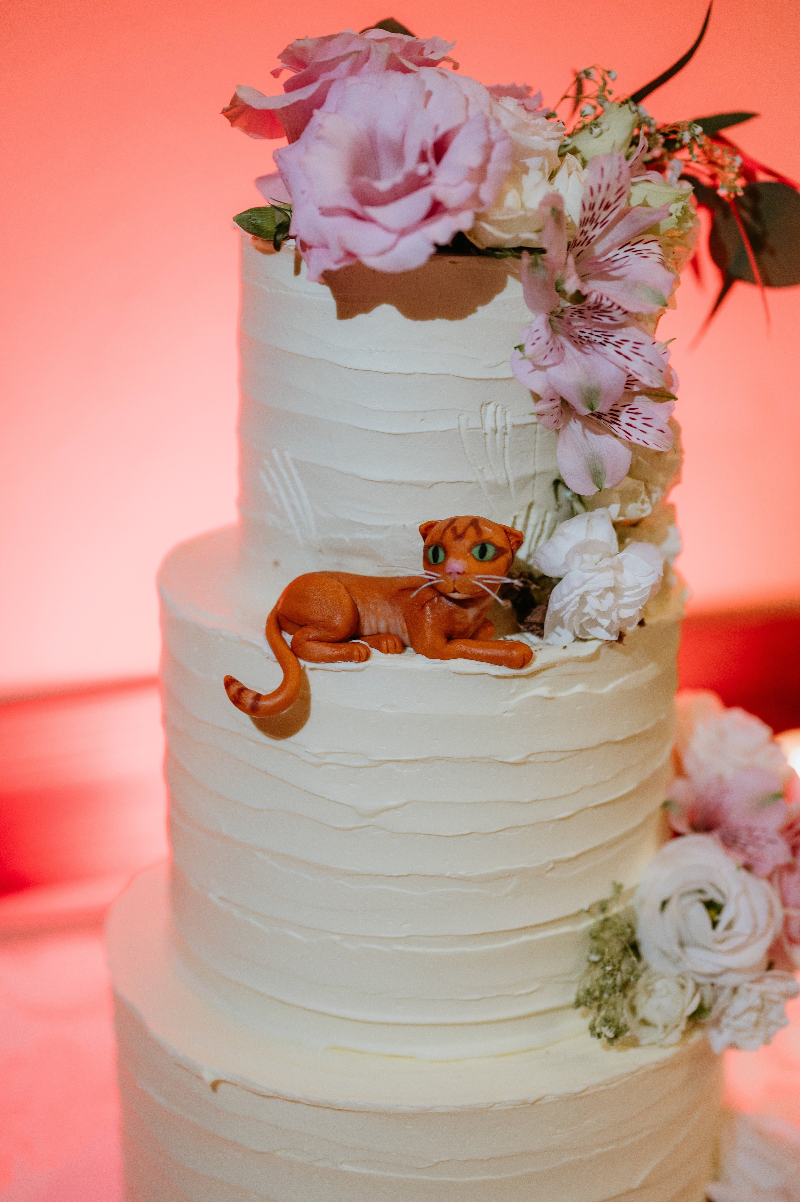 Adina și Ciprian. Valentin Melen — wedding photographer