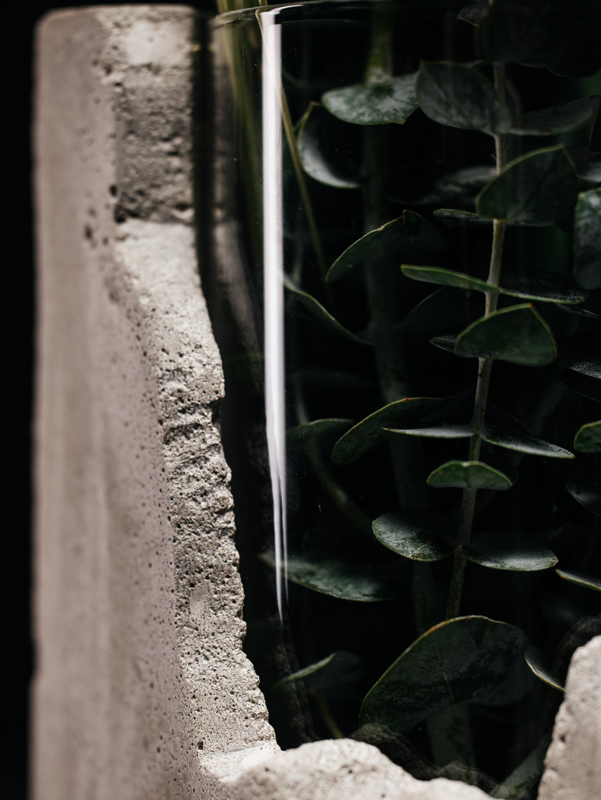 CV.Design. Photographer Andrei White