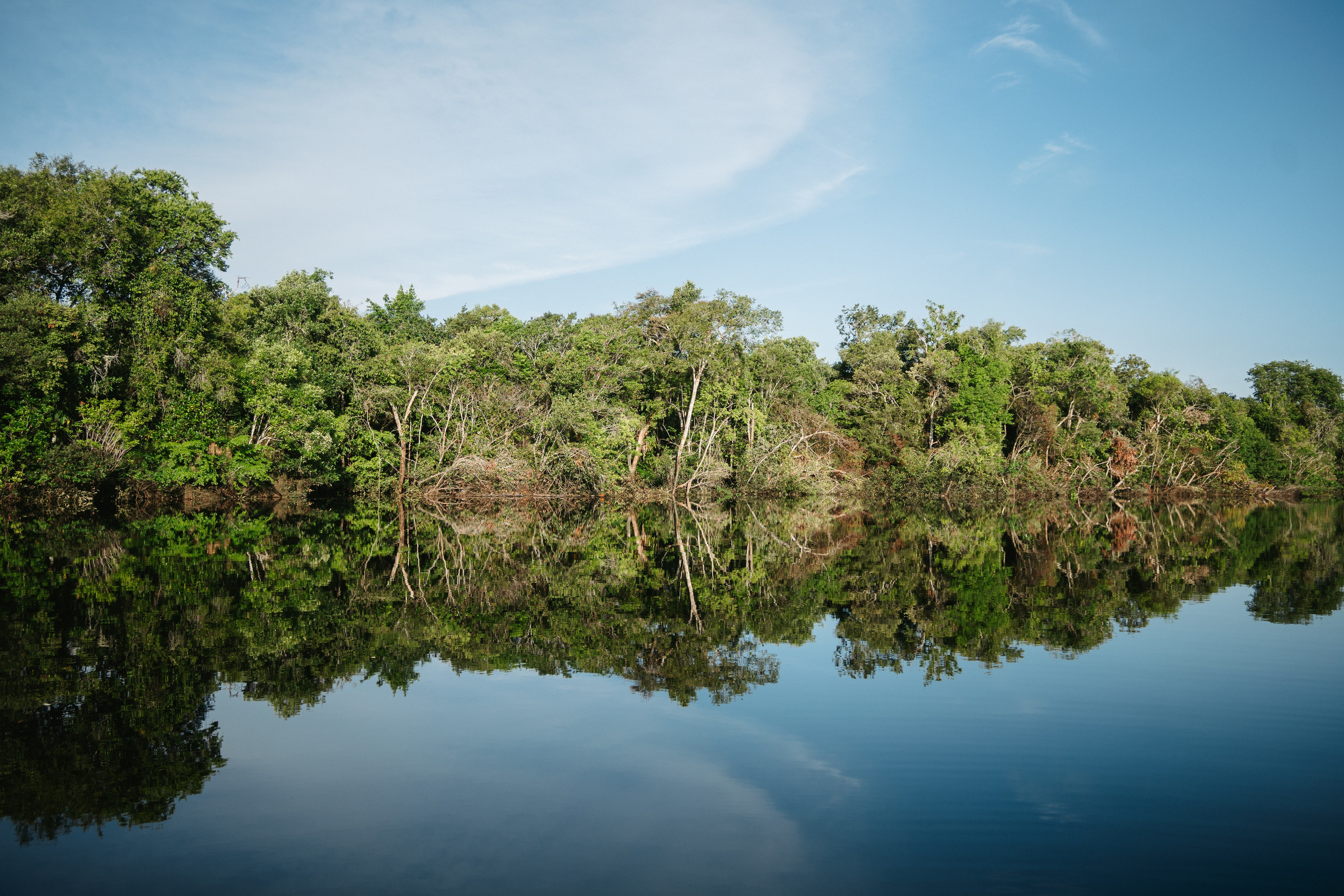 Fotografia de Hemylle Montefusco