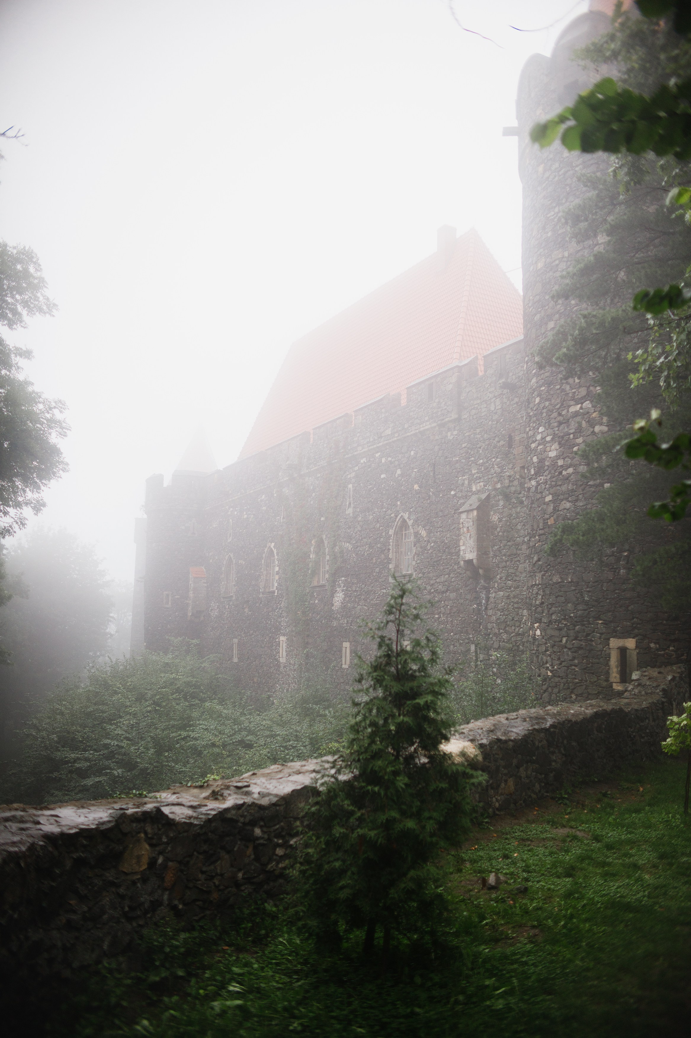 Zamek Grodziec. Kaja | fotograf psów we Wrocławiu