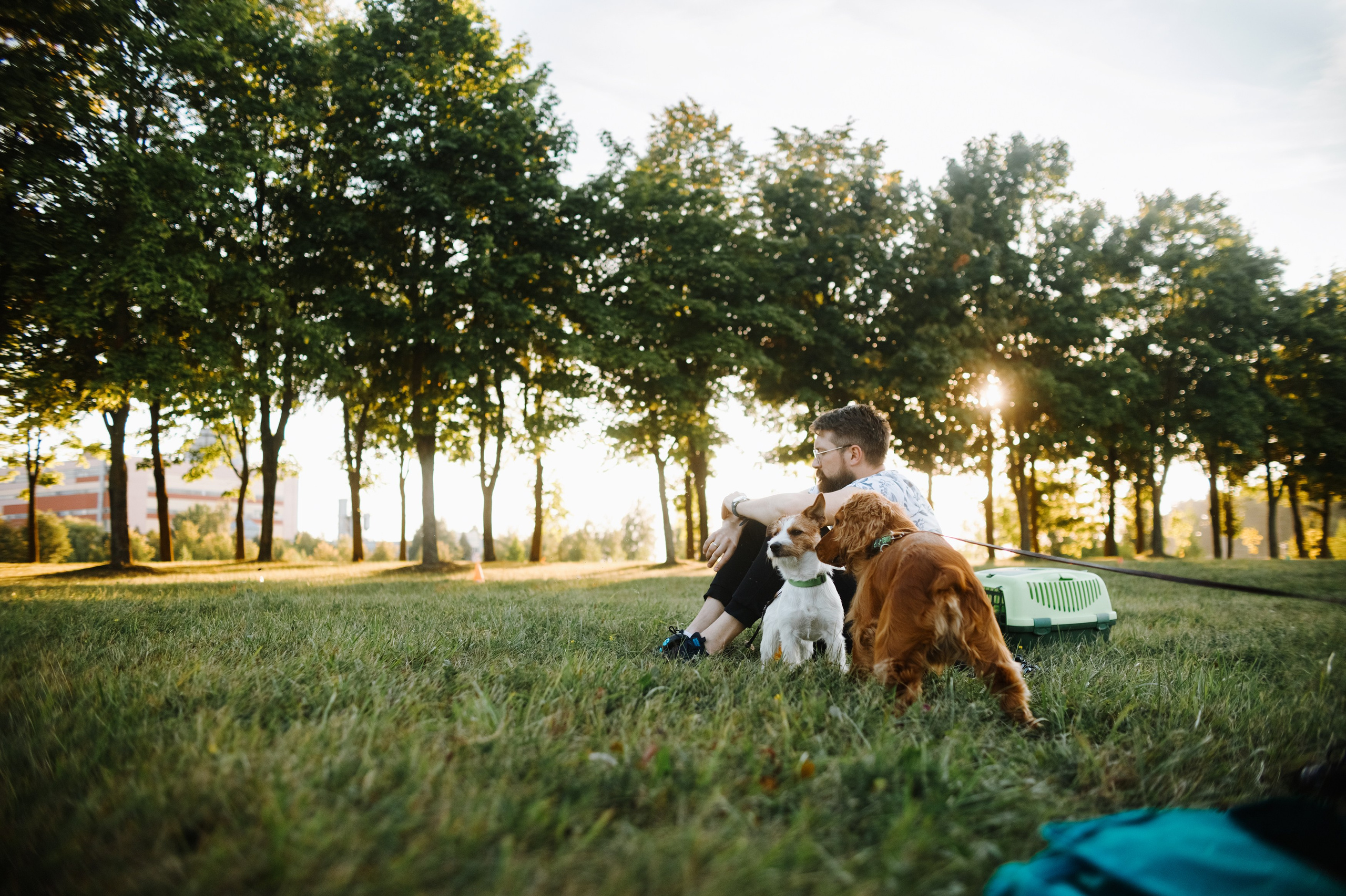 Frisbee workshop of Darya Lukina. Kaja | fotograf we Wrocławiu | ludzie i psy