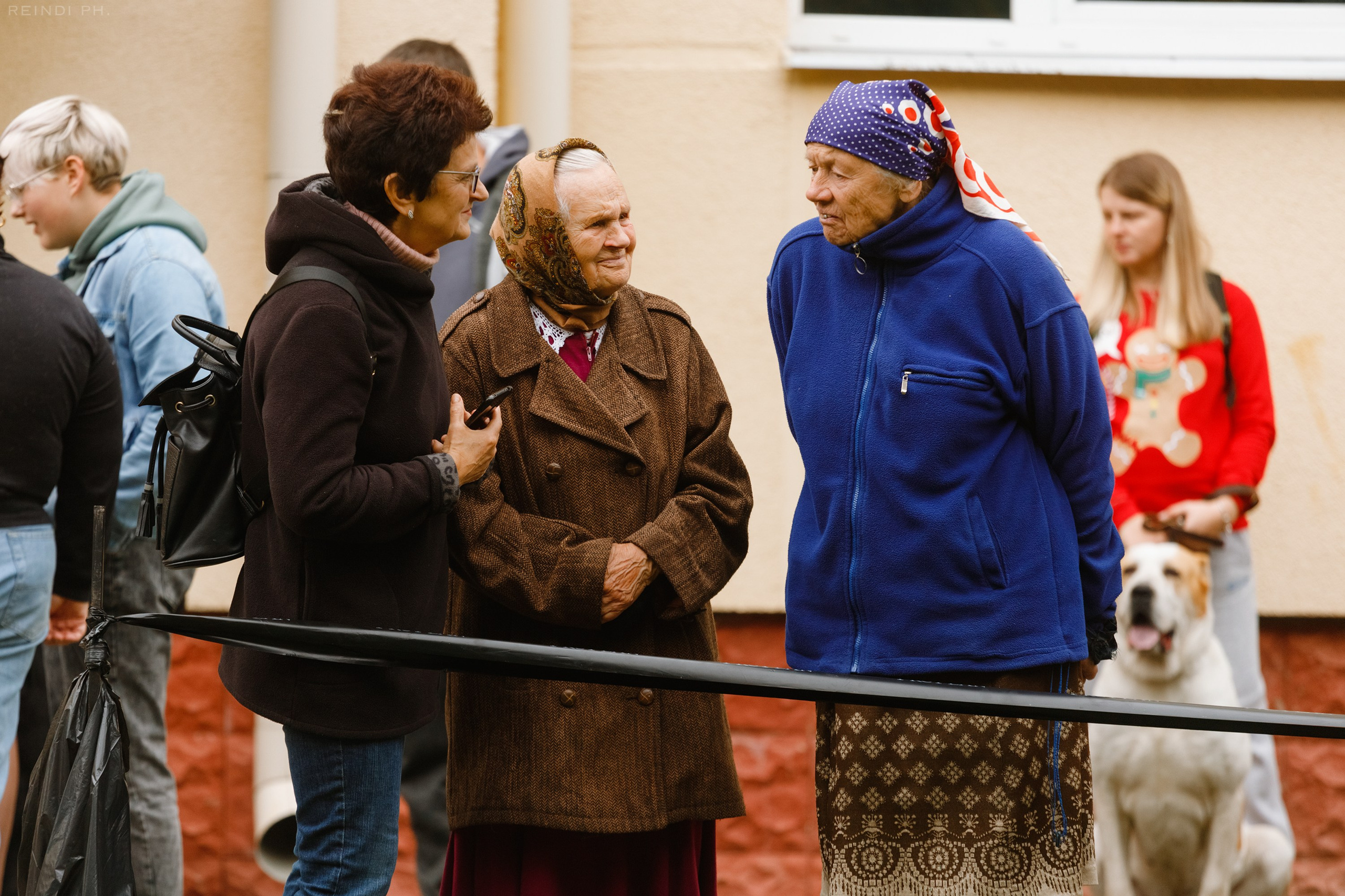 «Argus» dog show in Brest. Kaja | fotograf we Wrocławiu | ludzie i psy