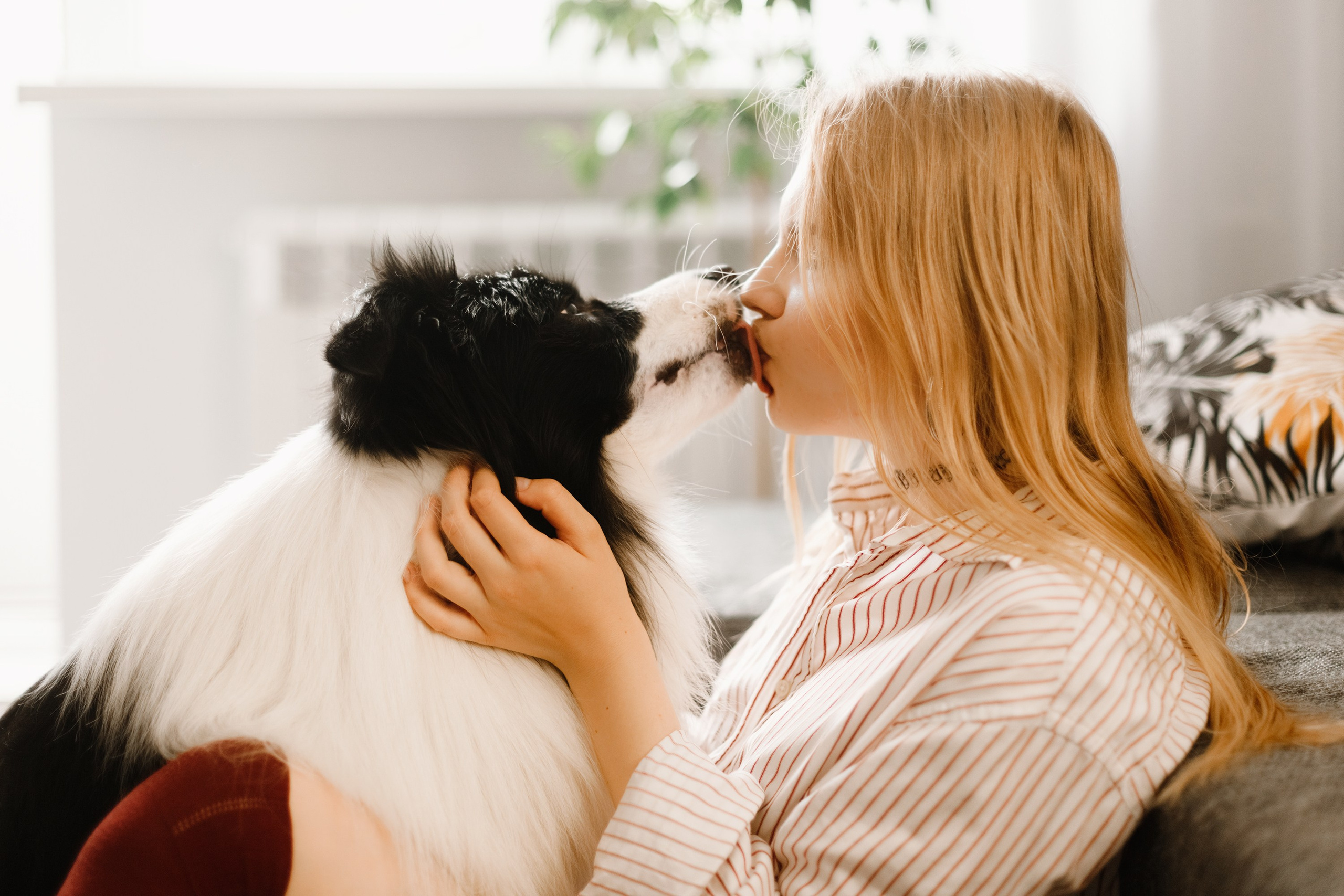 Evgenia & Richard. Kaja | fotograf we Wrocławiu | ludzie i psy