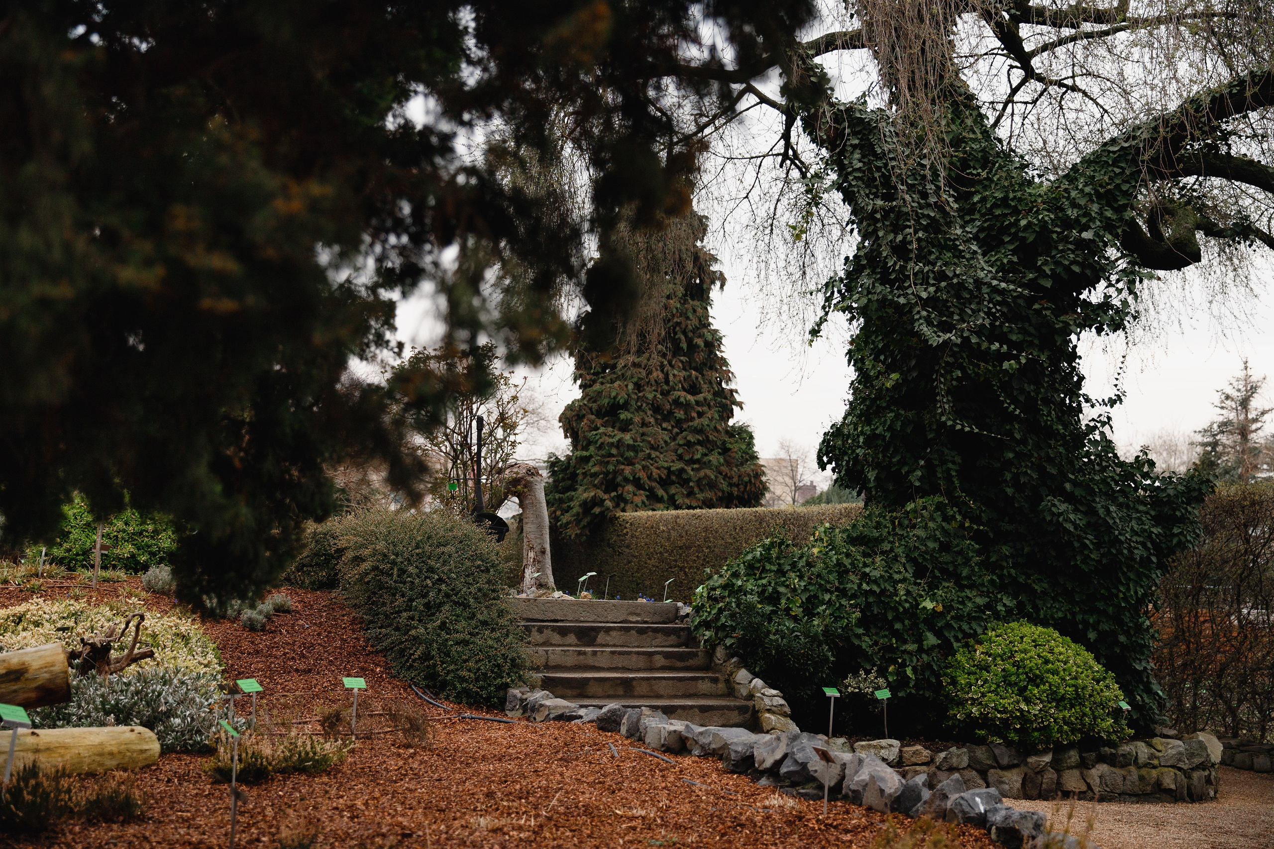 Botanical garden in Wroclaw. Kaja | fotograf we Wrocławiu | ludzie i psy