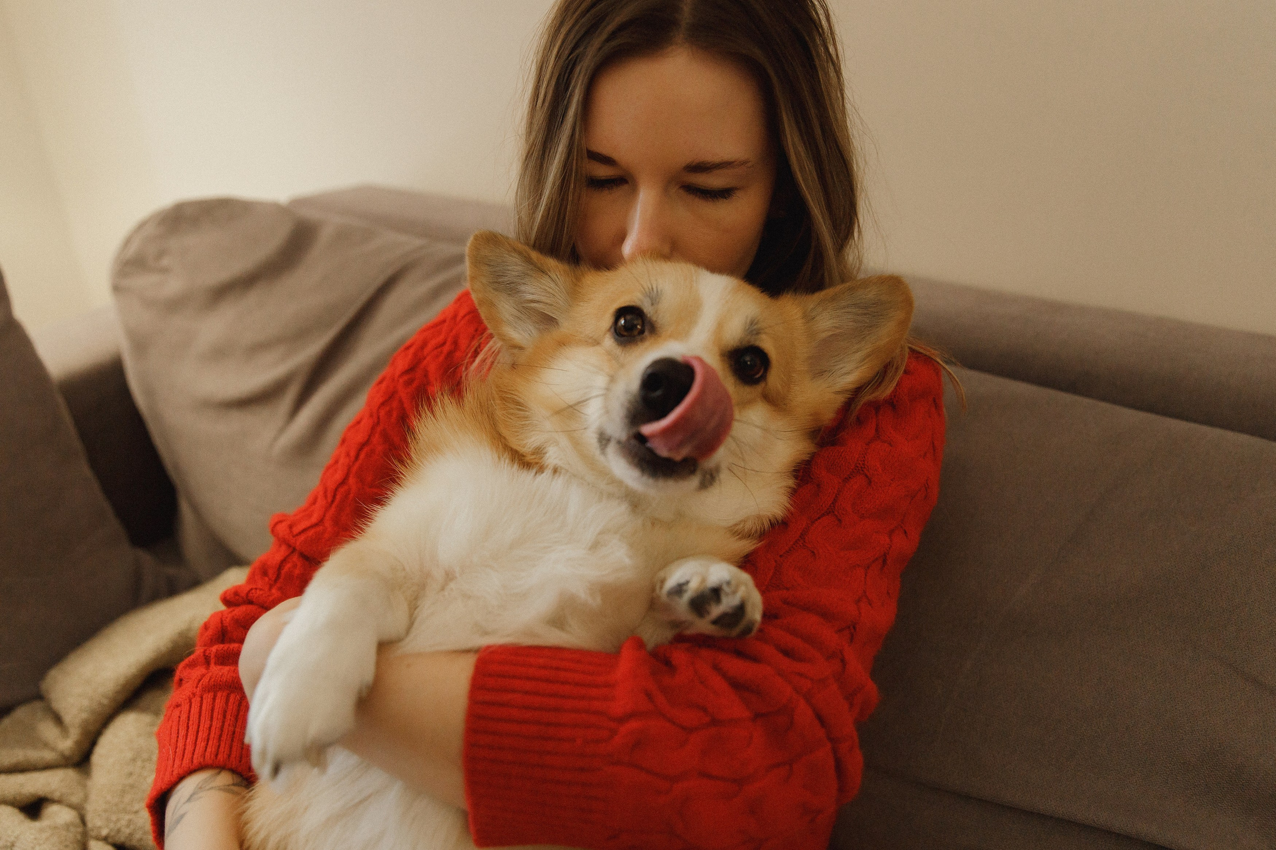 Dasha & Daisy. Kaja | fotograf psów we Wrocławiu