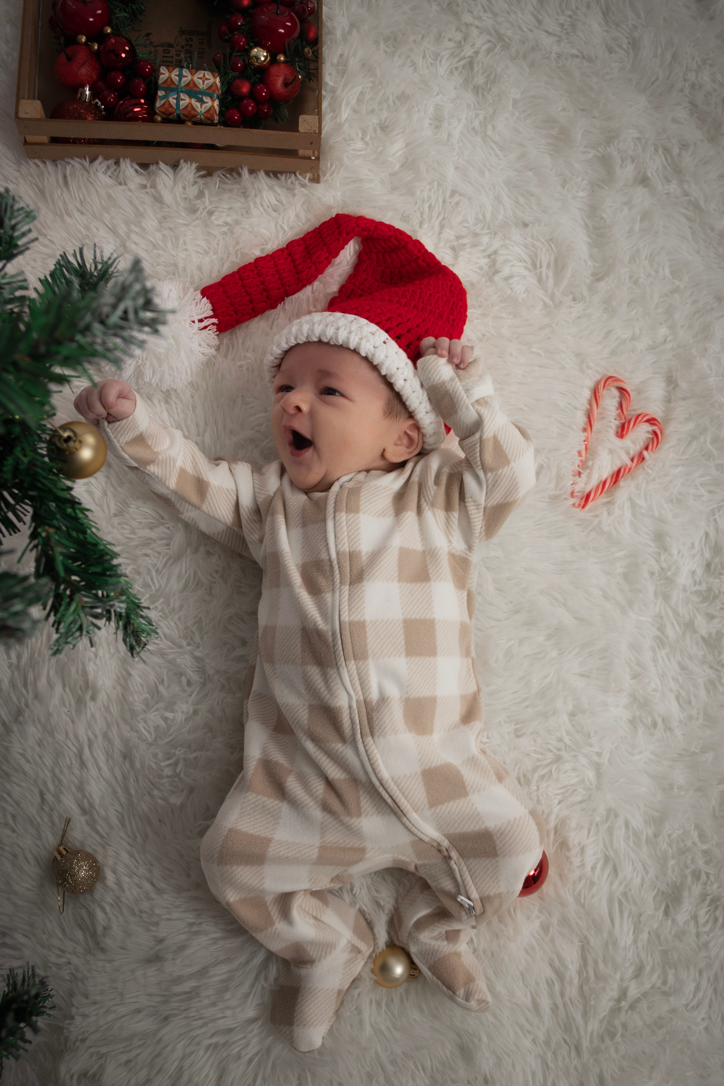 Christmas. Photographer in Port Jefferson