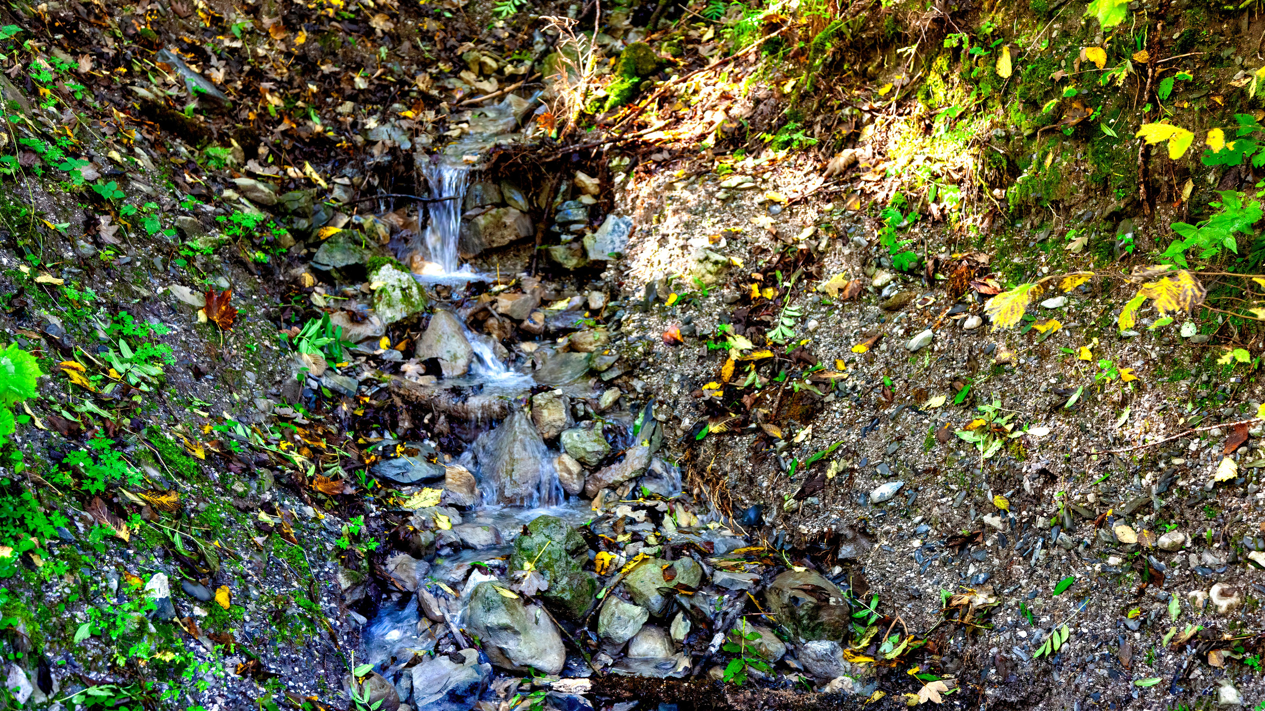 188.Partnachklamm Gorge.26.9.2024. Путешествия в формате 360......