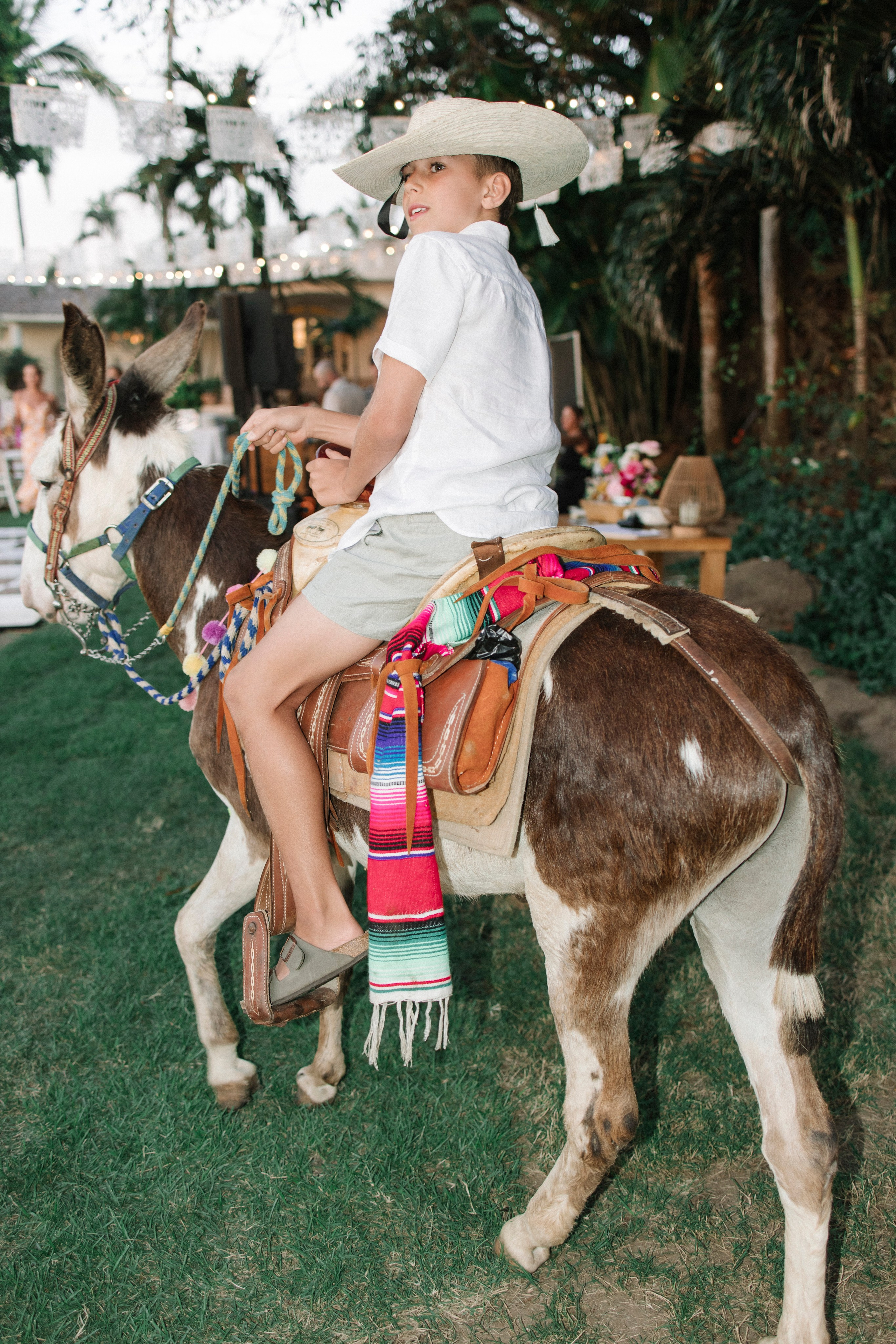 Villa del Oso, Sayulita. Wedding photographer Mexico Sayulita Puerto Vallarta Punta Mita Cabo