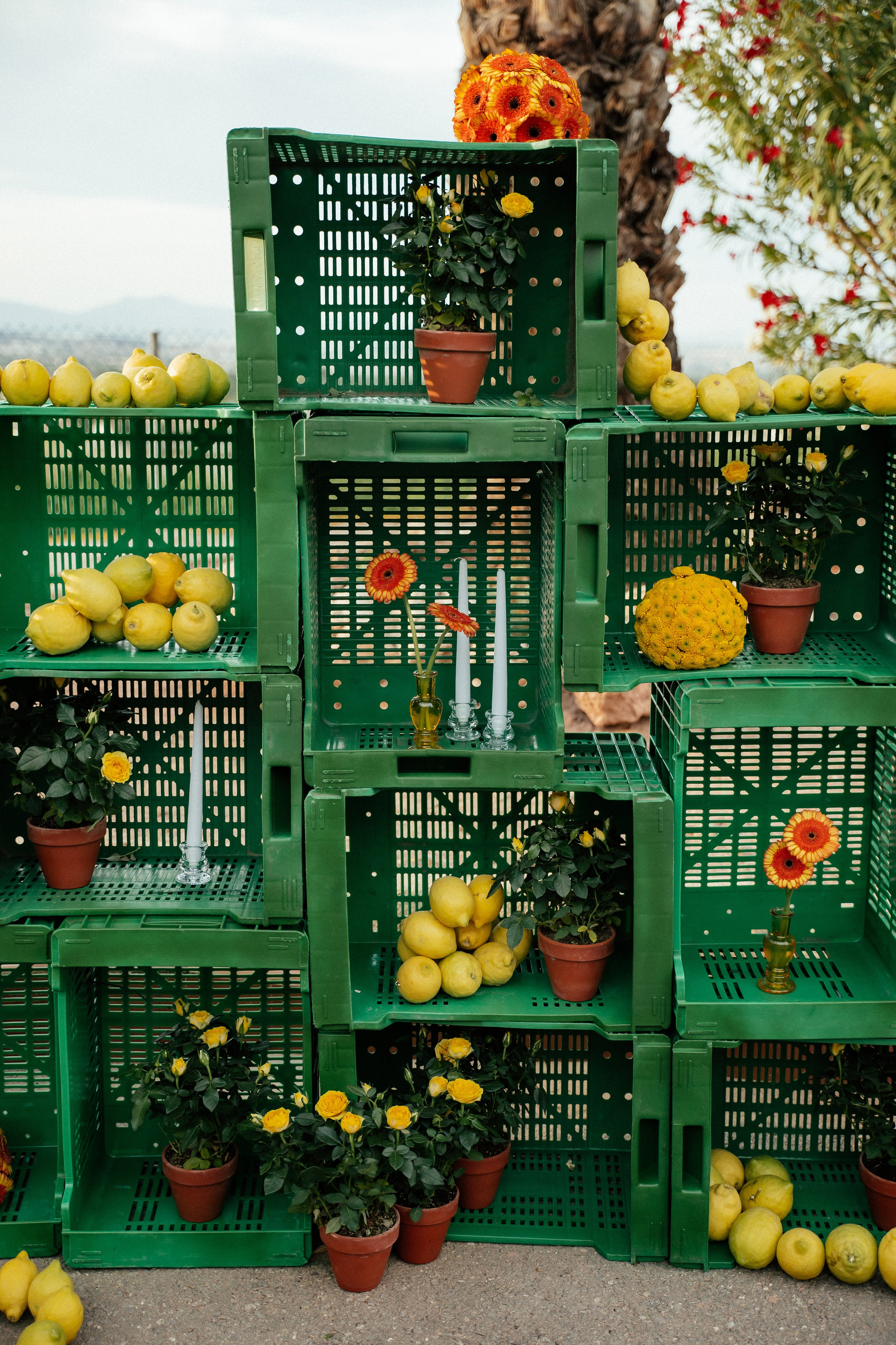 Gonzalo & Maria (Murcia)