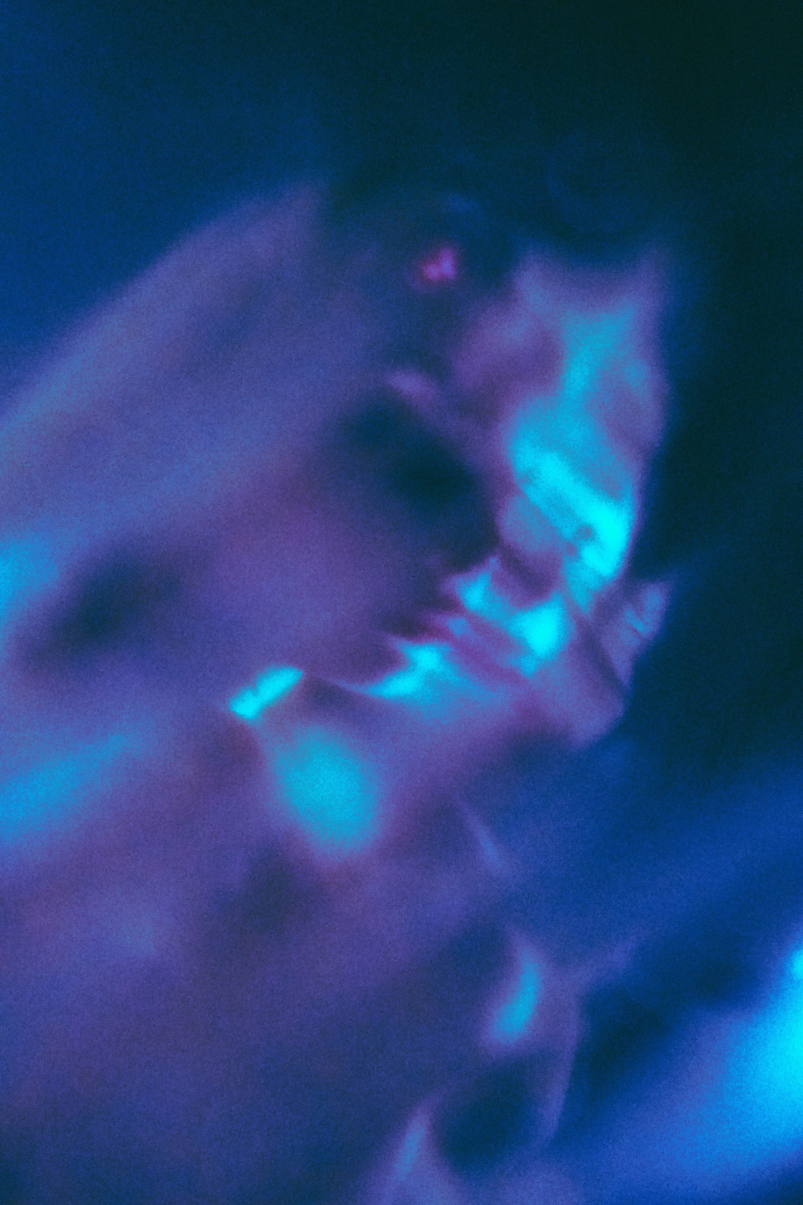 AURA. JANEBANDICUTE фотограф-видеограф в Санкт-Петербурге и Москве