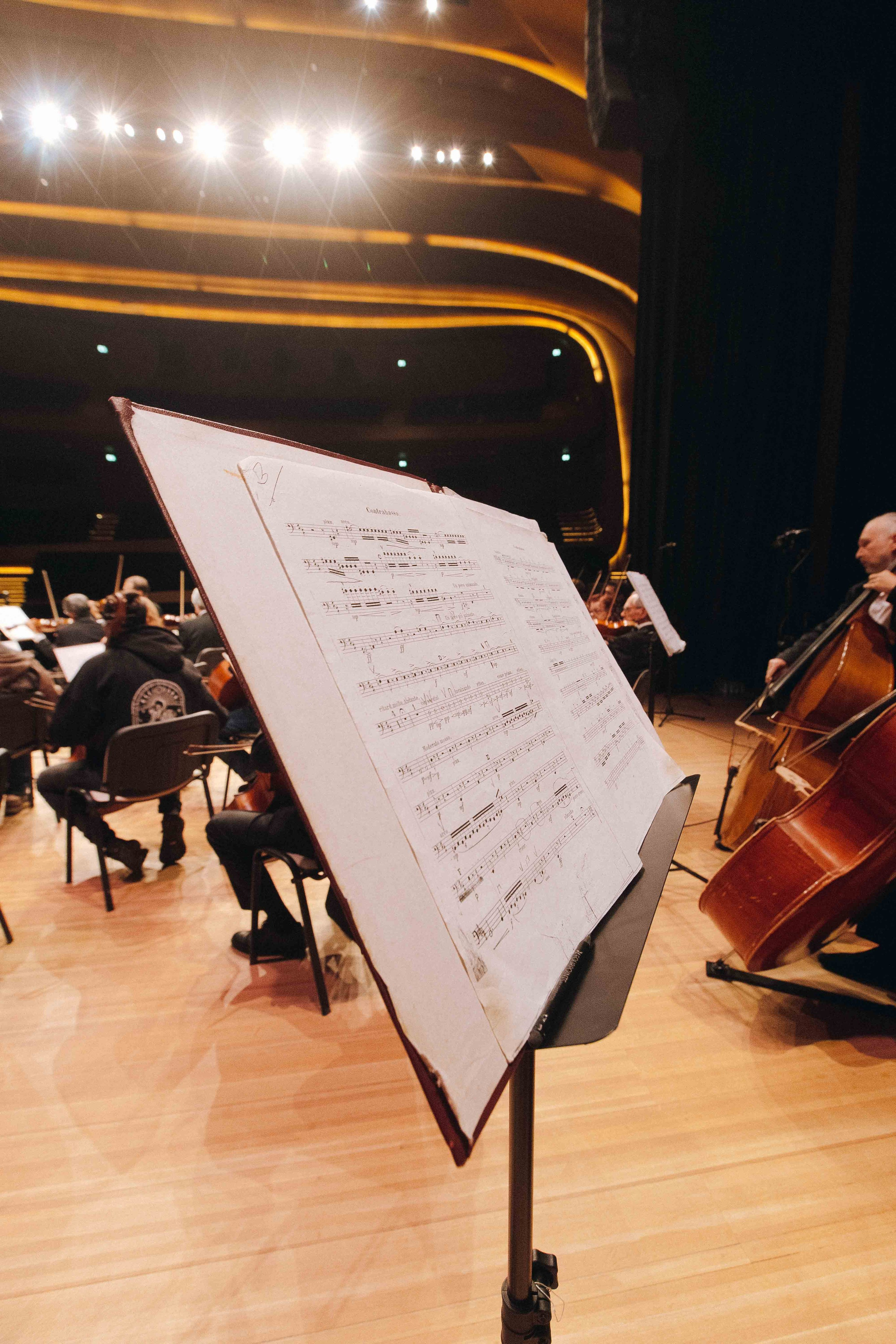 The Tchaikovsky Academic Grand Symphony Orchestra in Baku. Wedding&Event photographer Ismail Rzayev in Baku