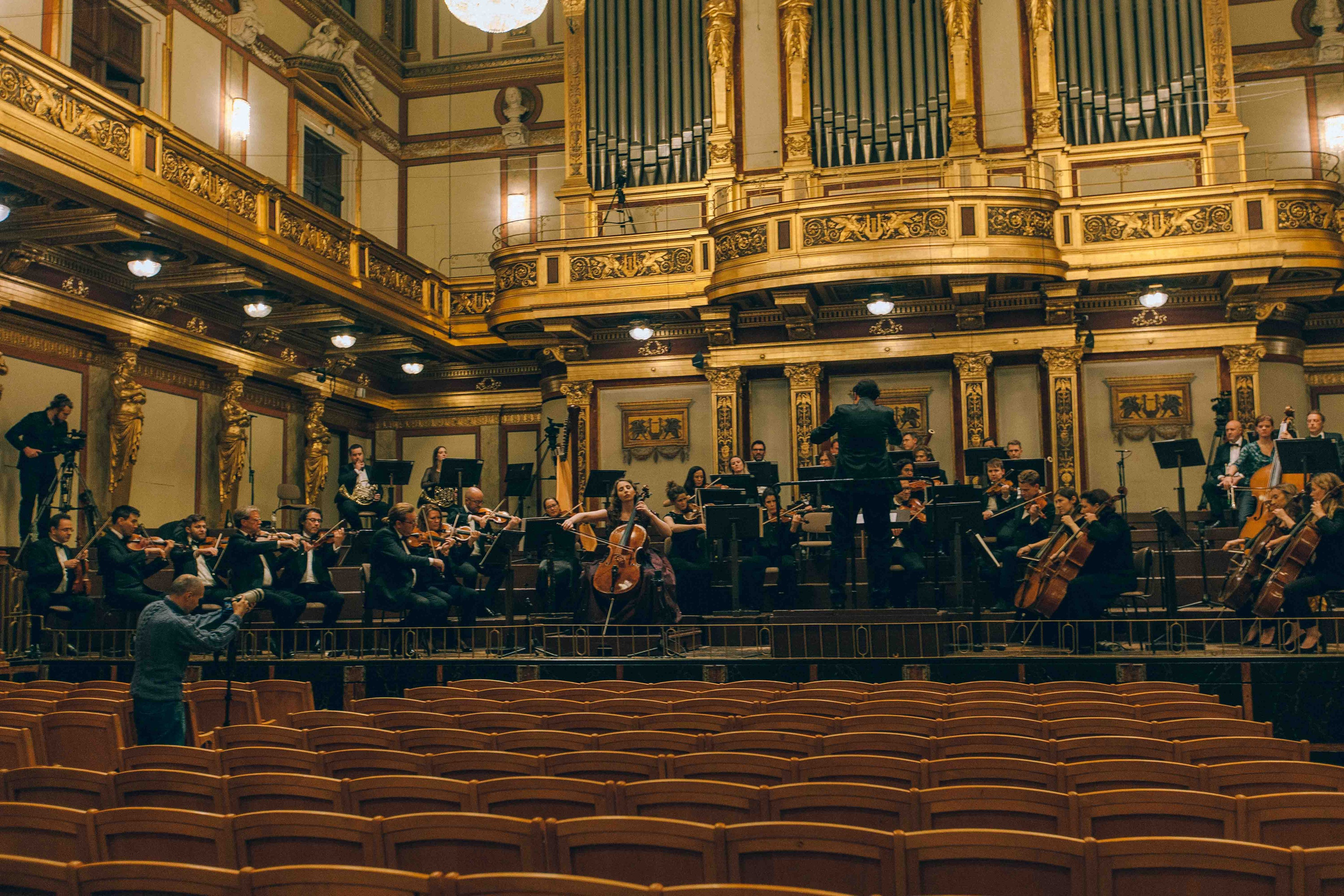 MUSIKVEREIN (VIENNA). Wedding&Event photographer Ismail Rzayev in Baku