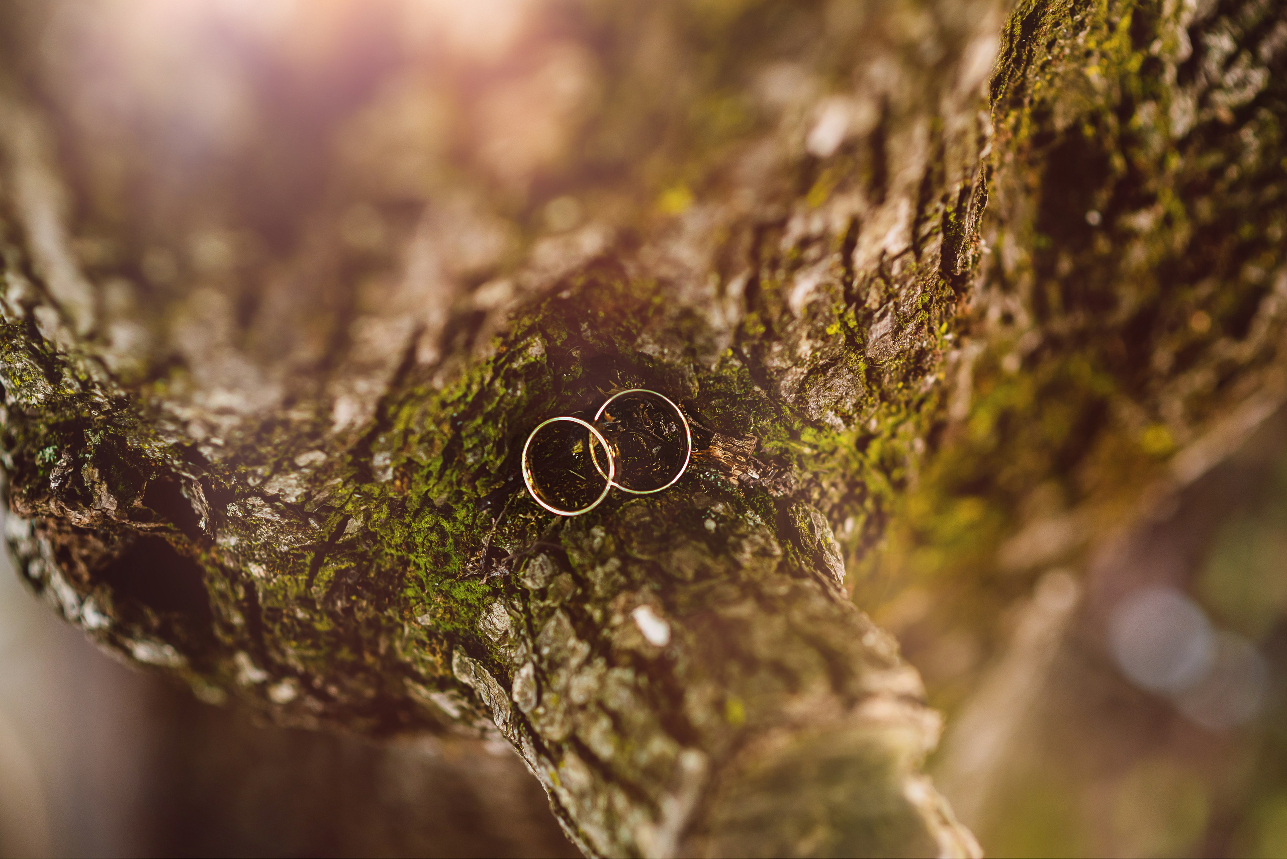 Silvia & Cristi. Giani Maftei